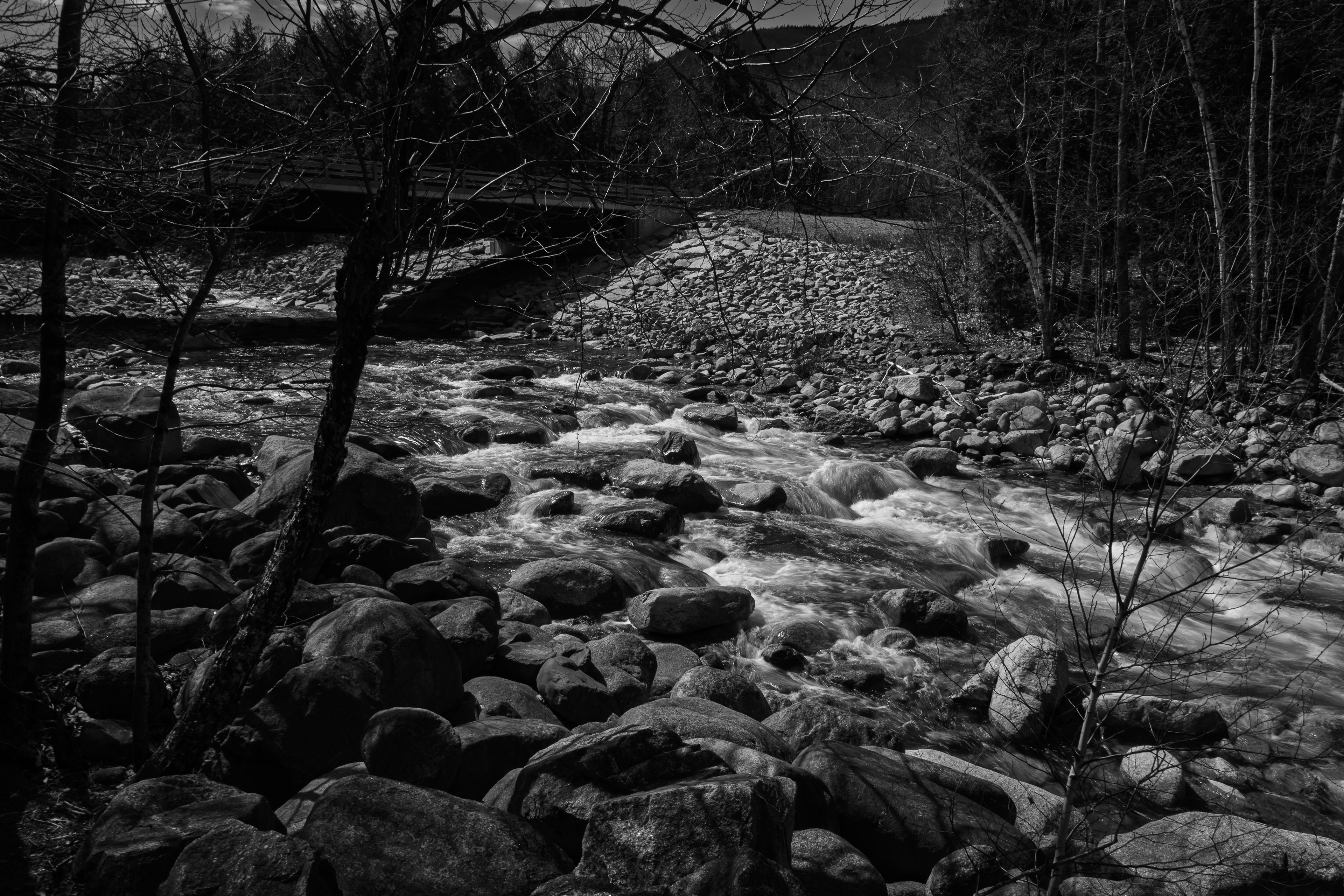 Sawyer River No2