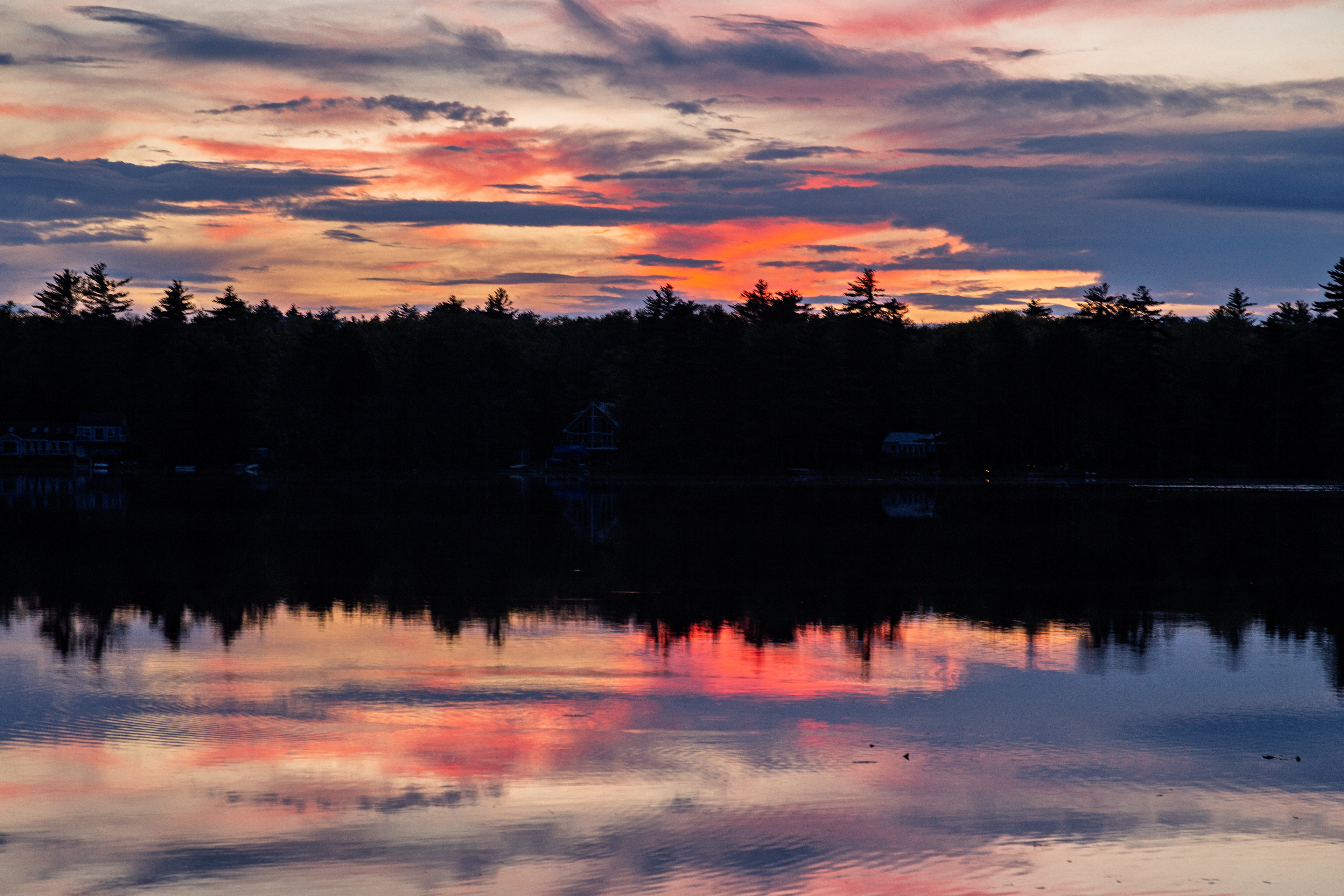 Shellcamp Afterglow No2