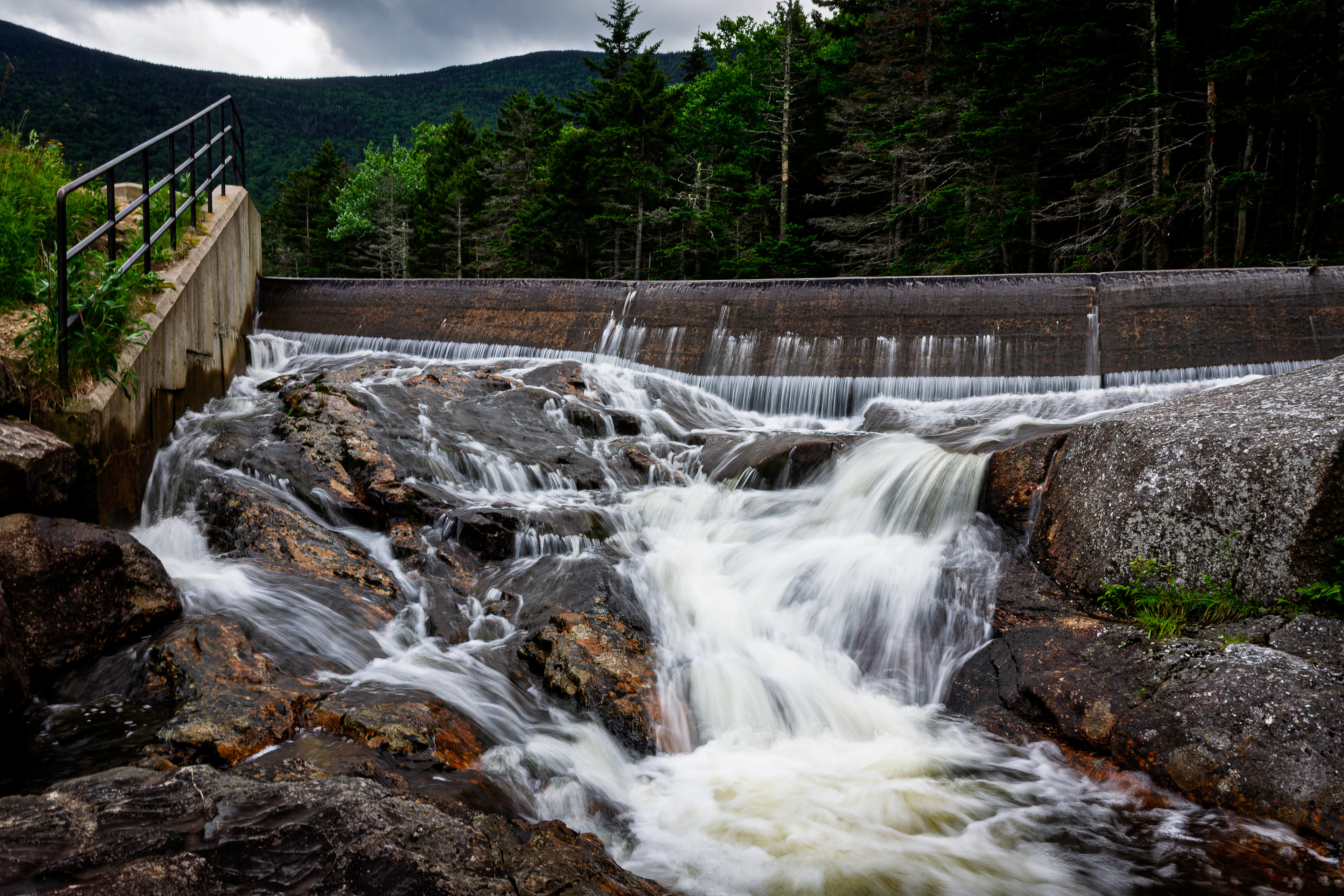 Beaver Pond Dam No4