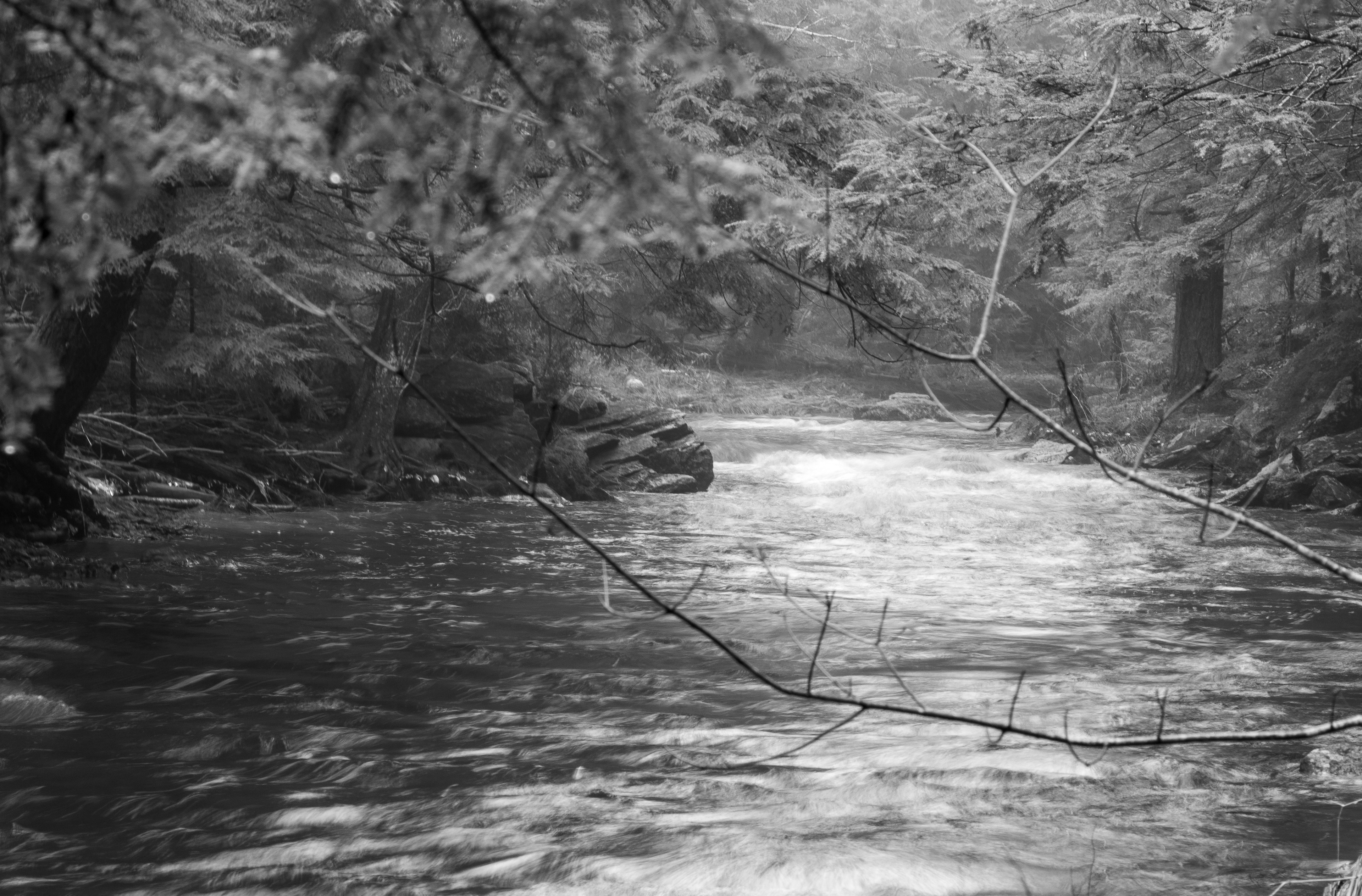 Academy Brook No9