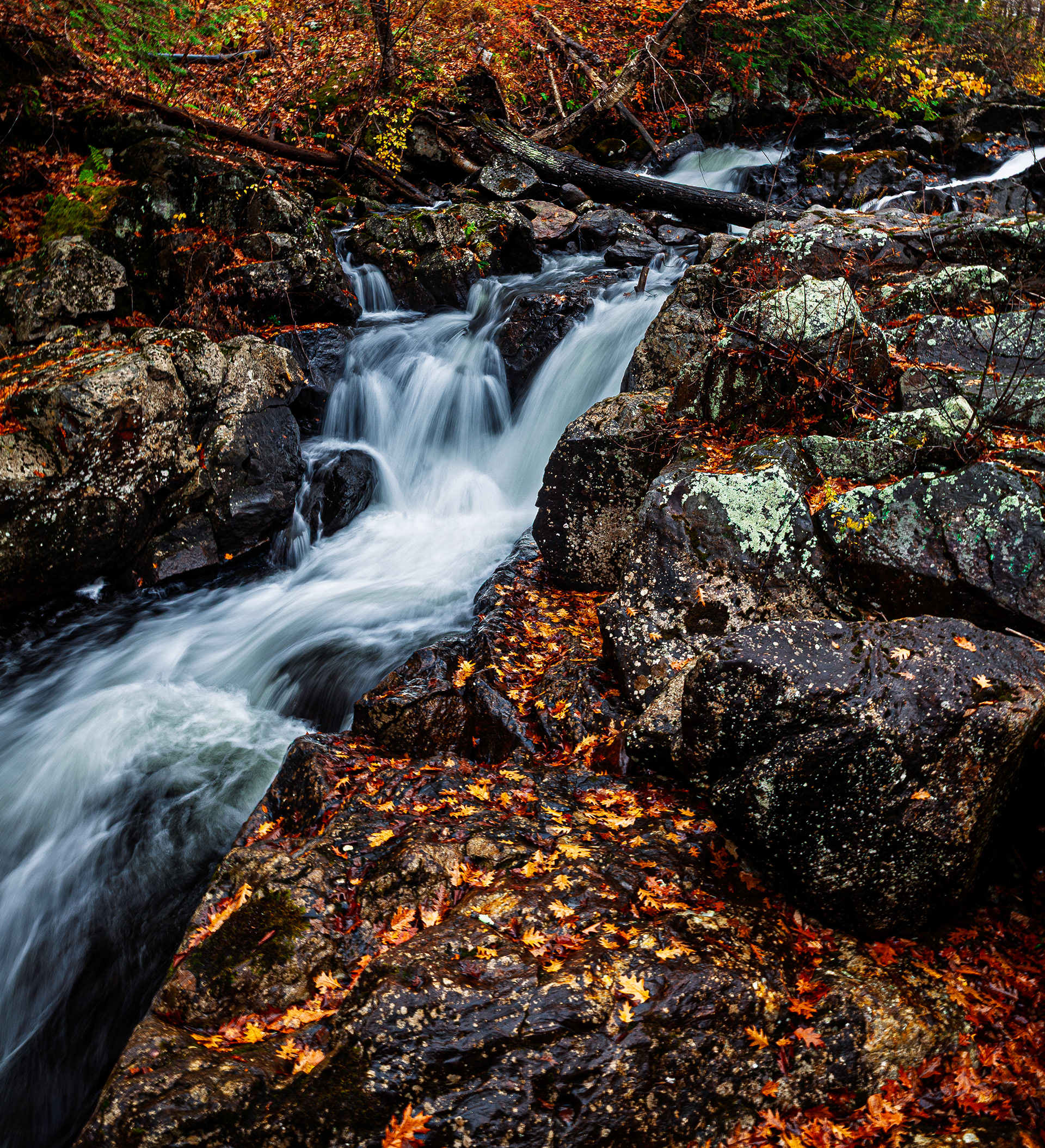 Bristol Falls Park No8