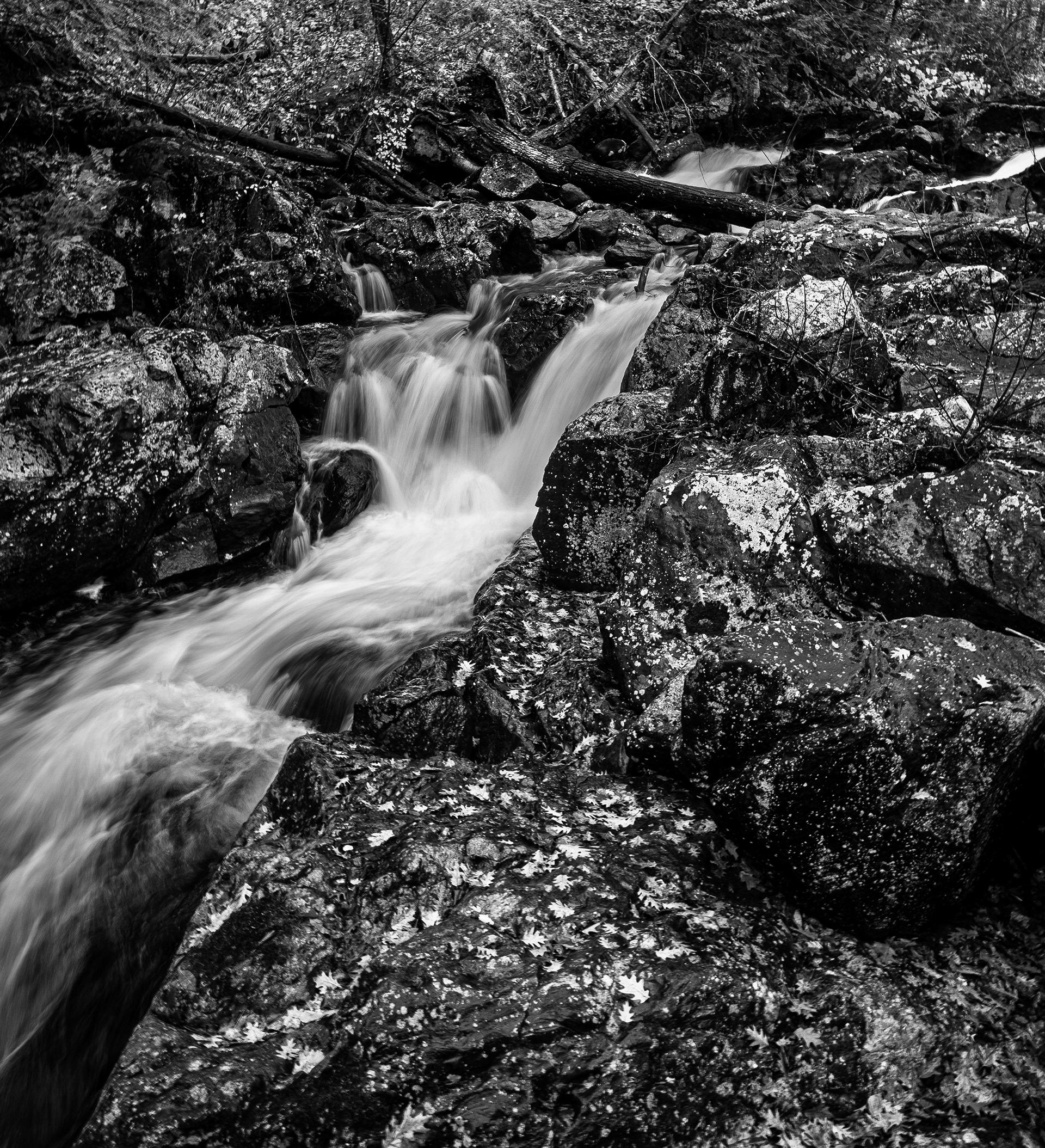 Bristol Falls Park No7