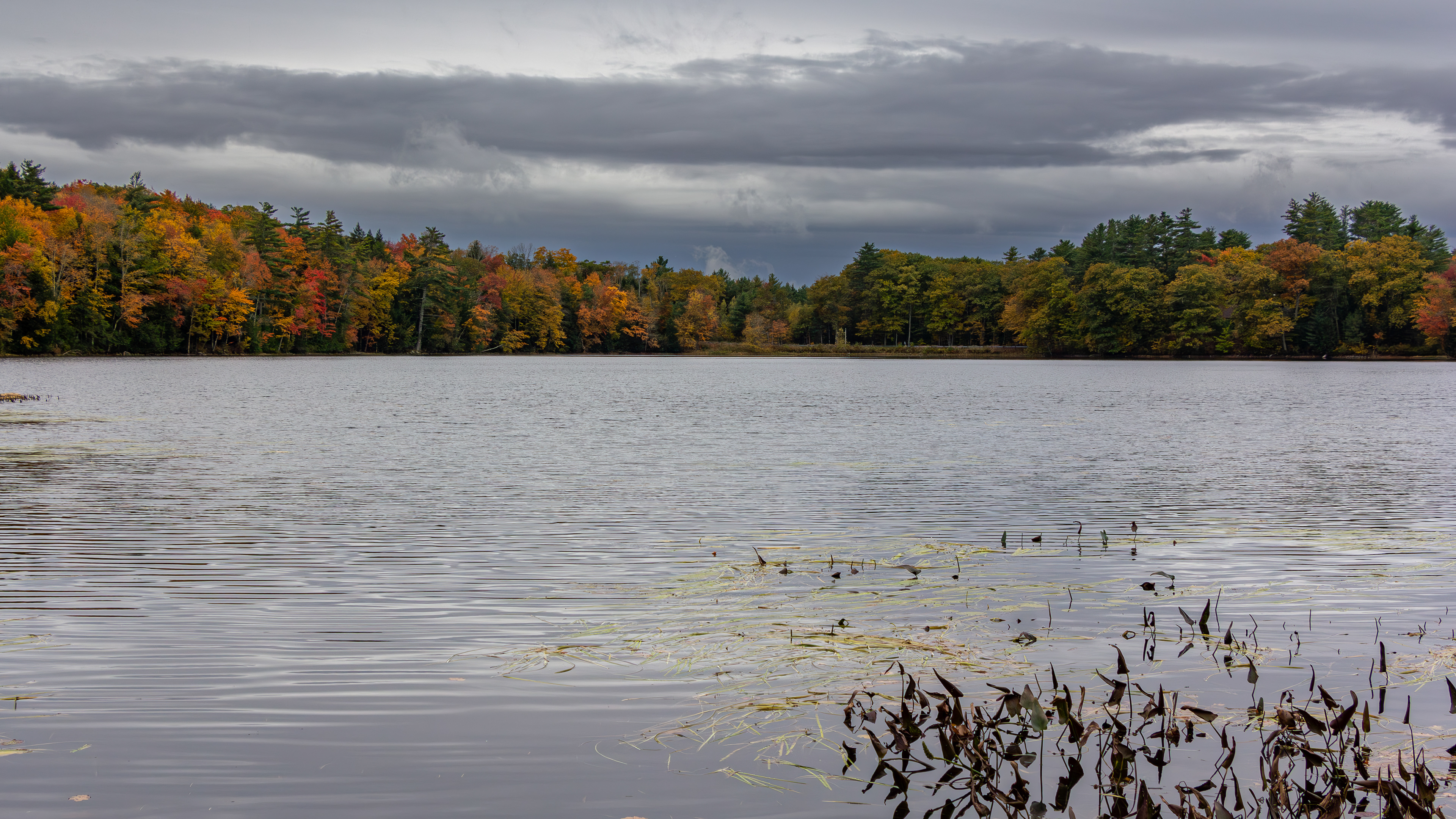 Rollins Pond No15