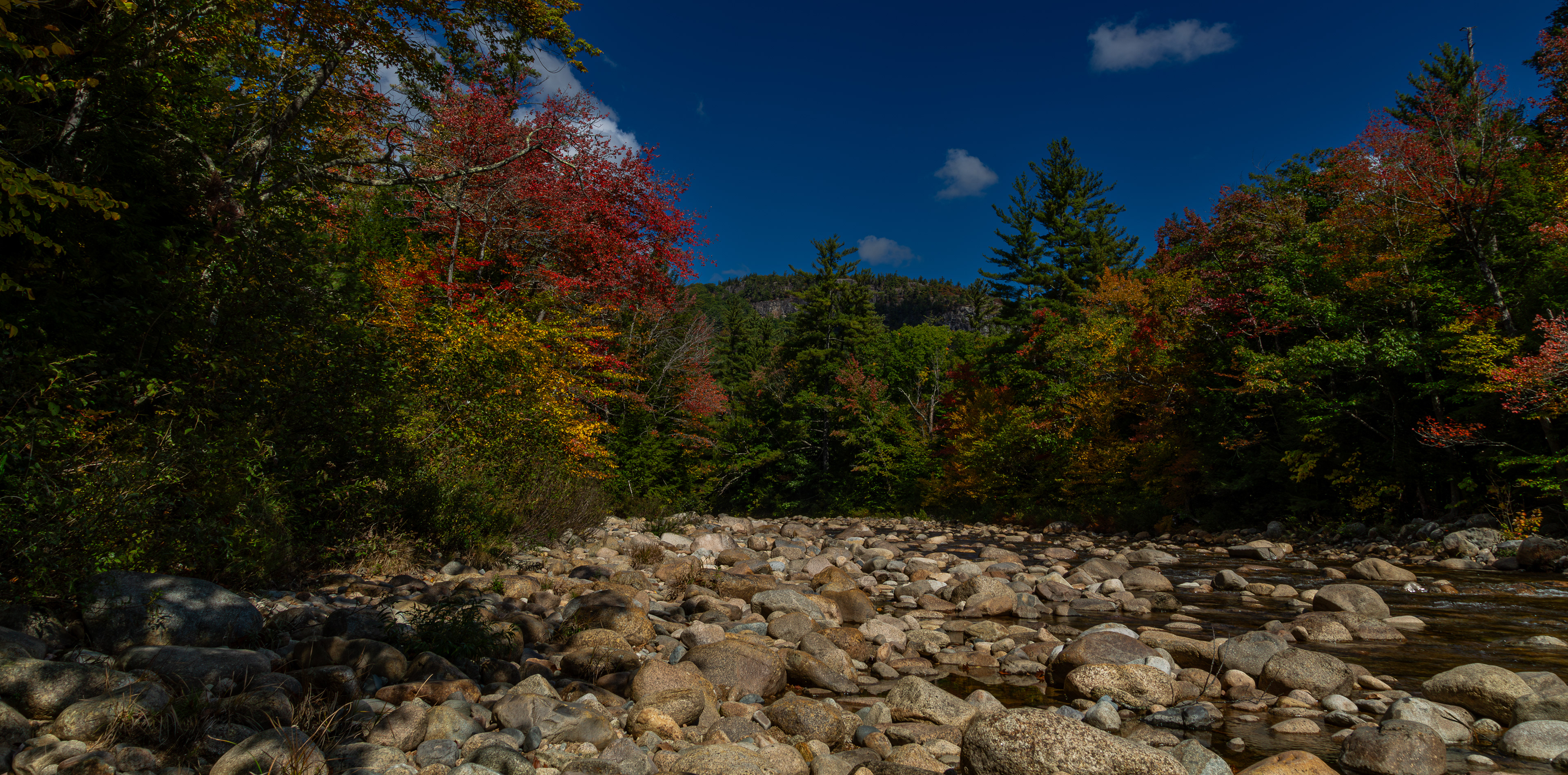 Swift River No3
