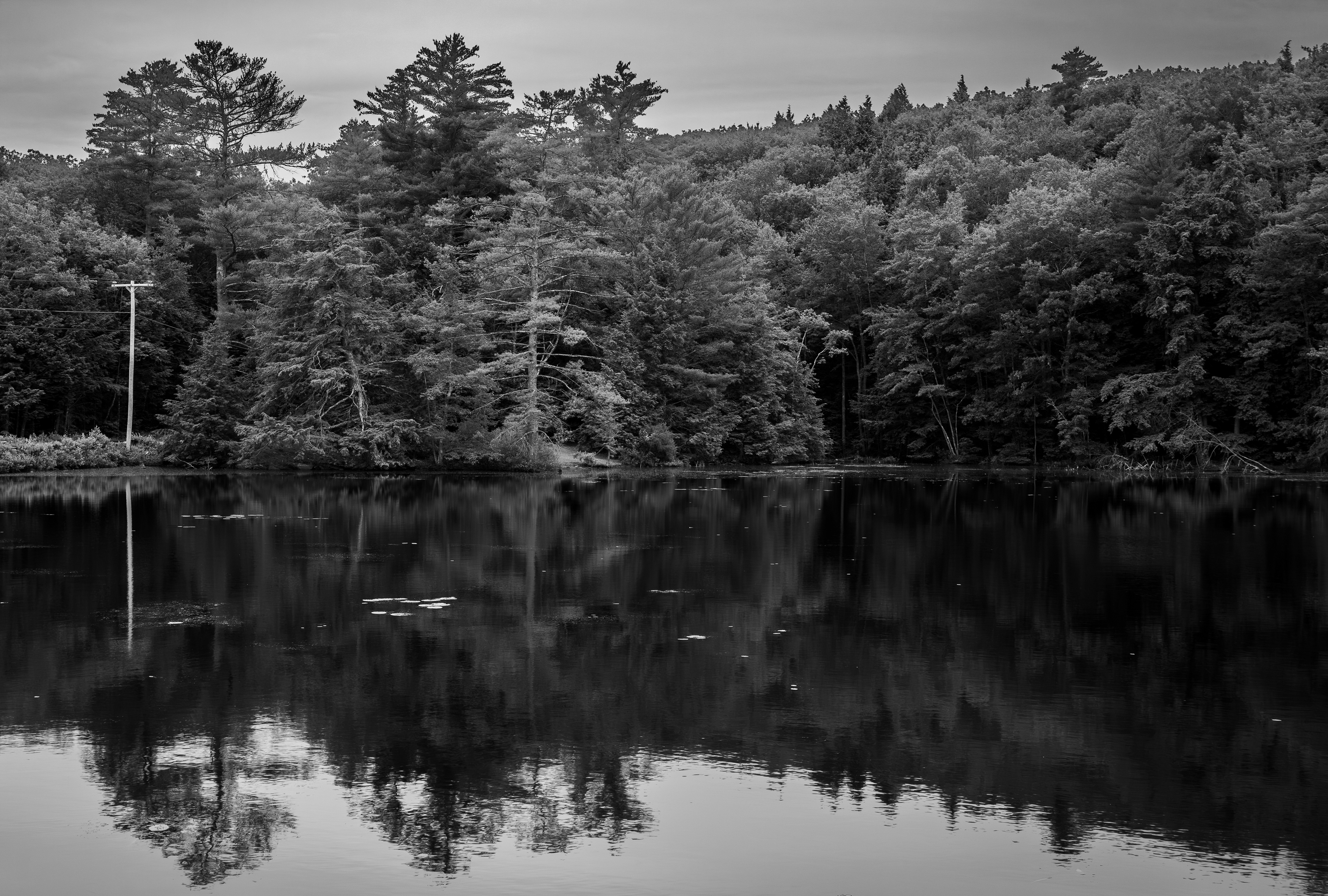 Shellcamp Pond in Black & White No2