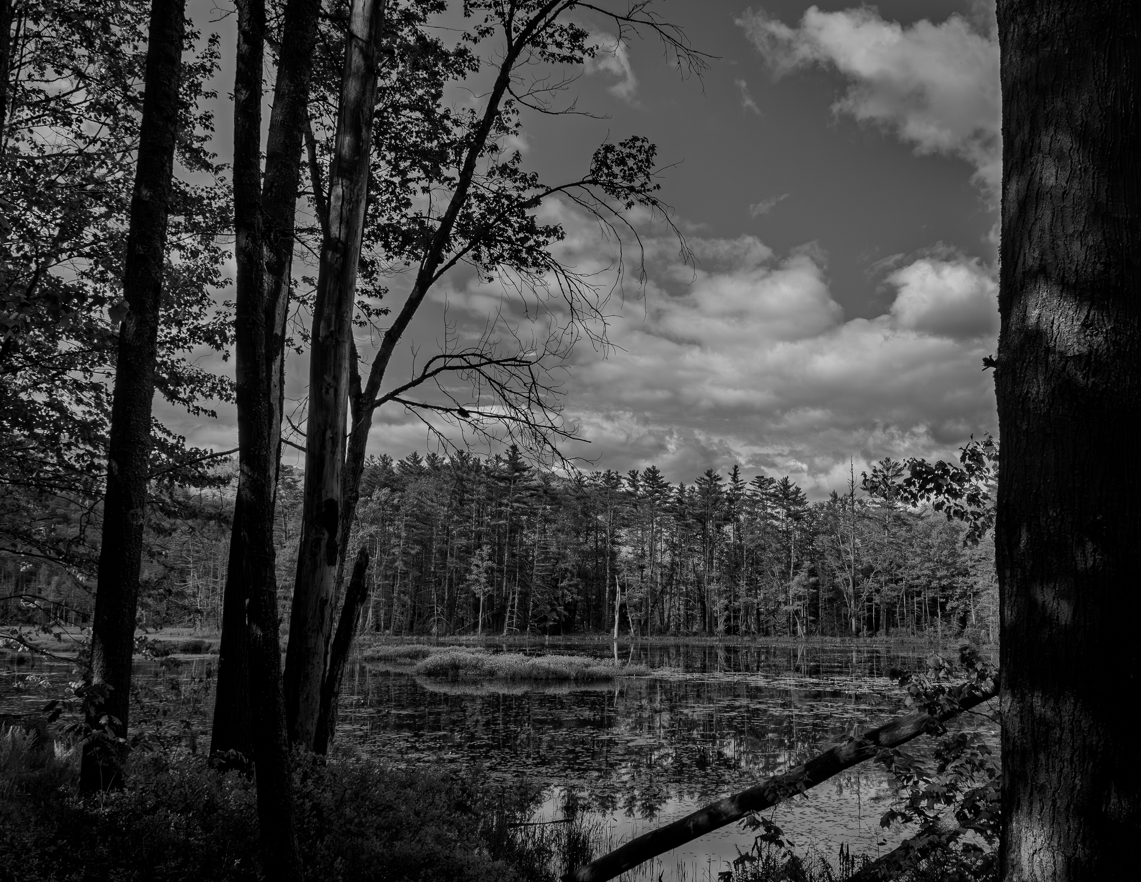 Quincy Bog No3 - May 30, 2026