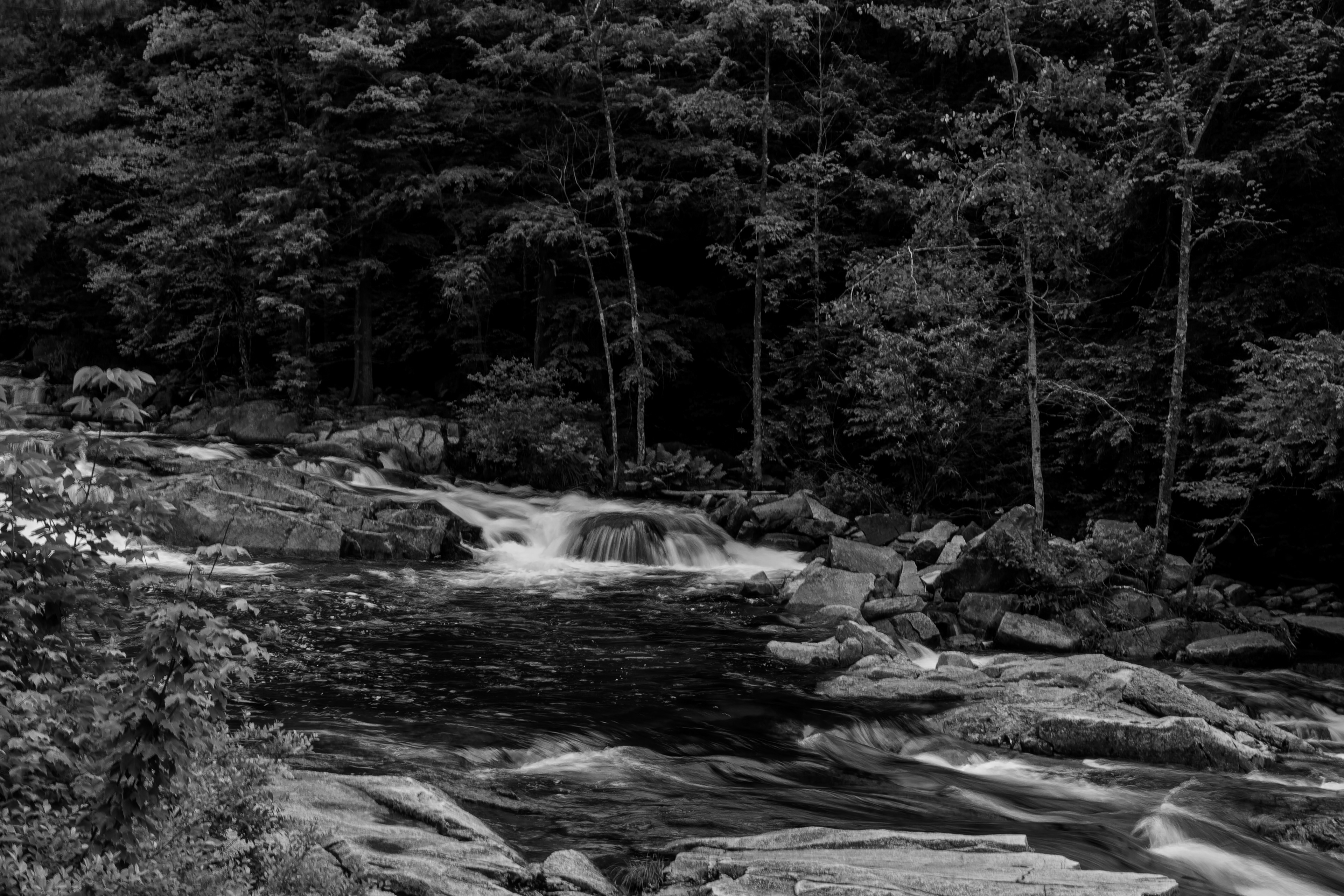 Jackson Falls 29