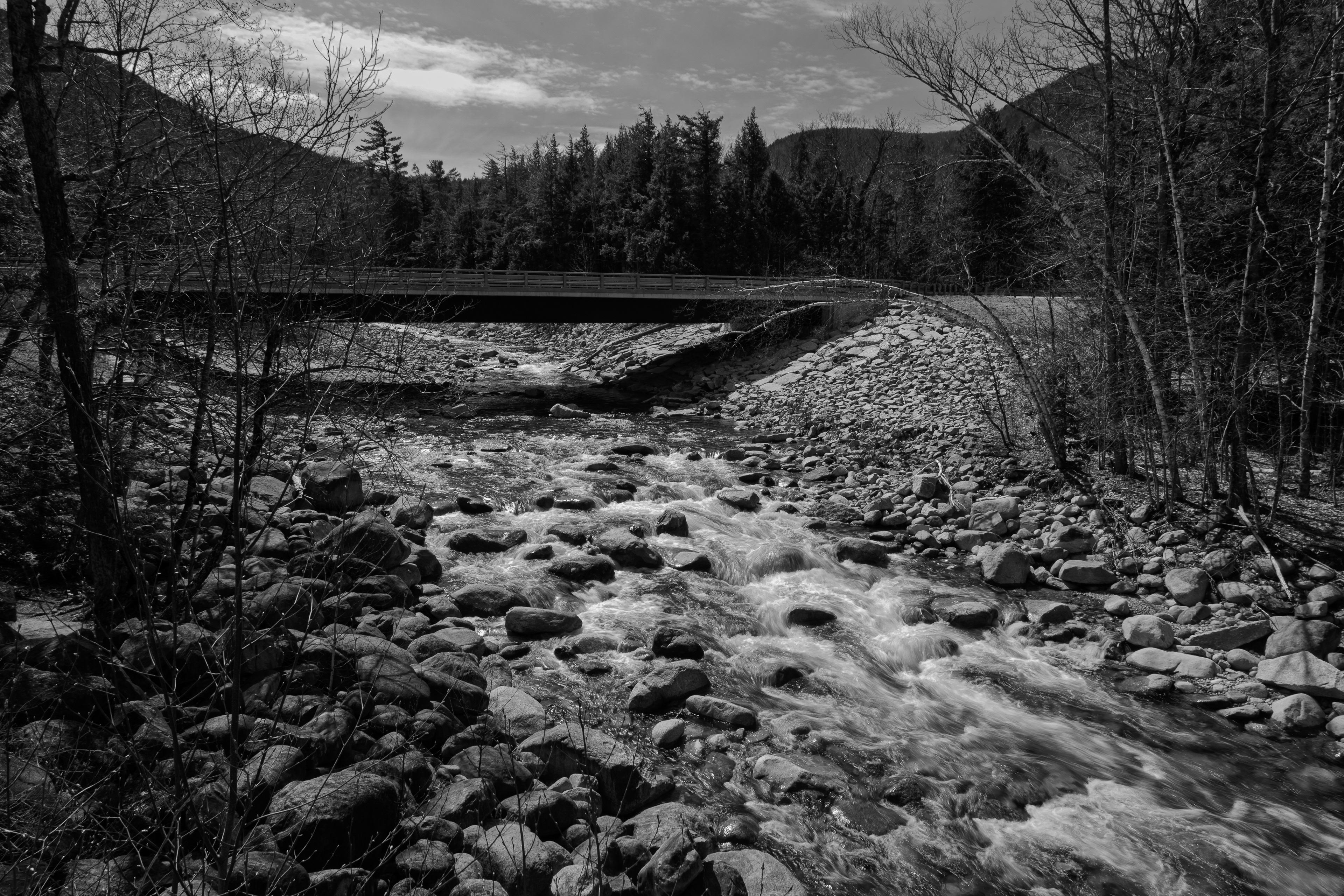 Sawyer River No1