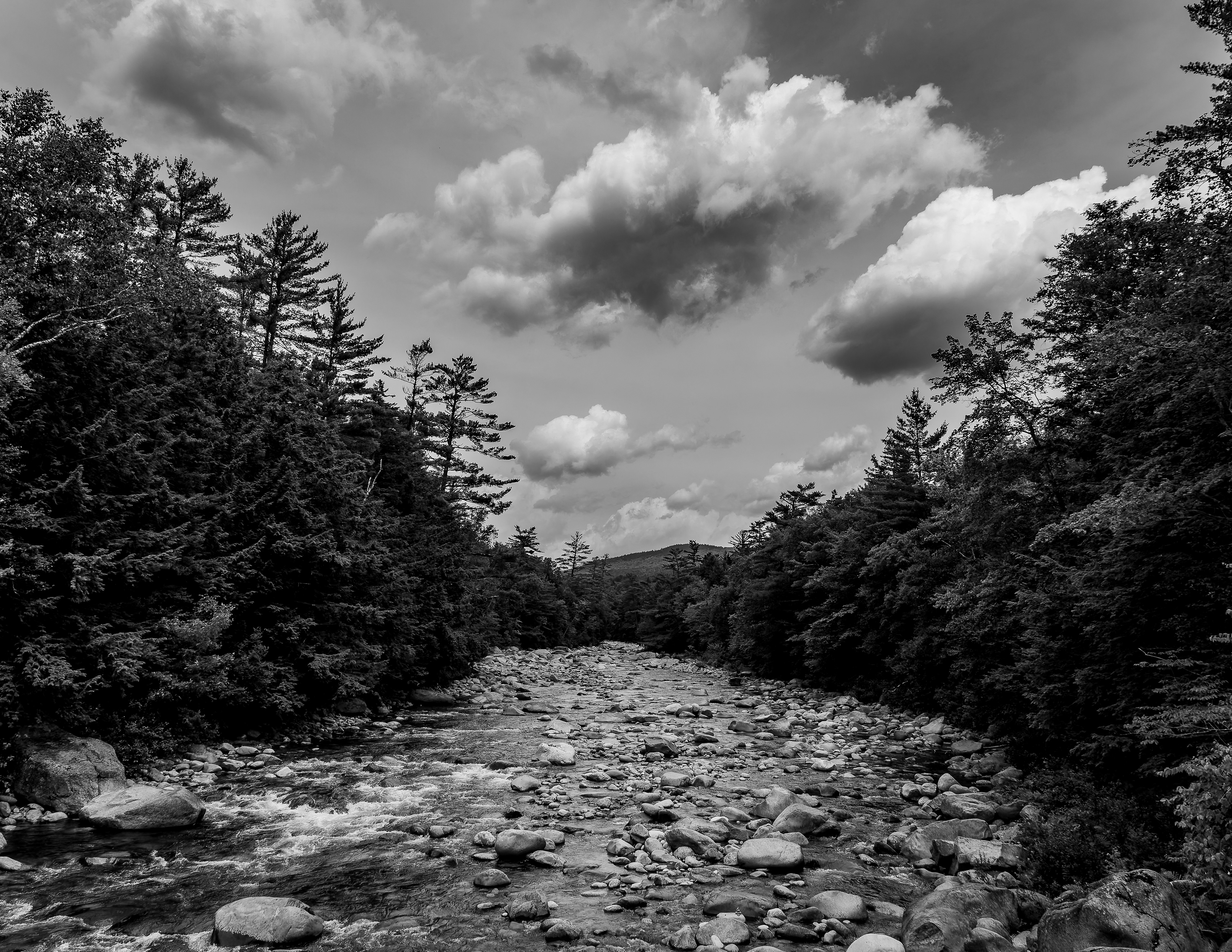 Pemigewasset River from Lincoln Woods - July 15, 2026