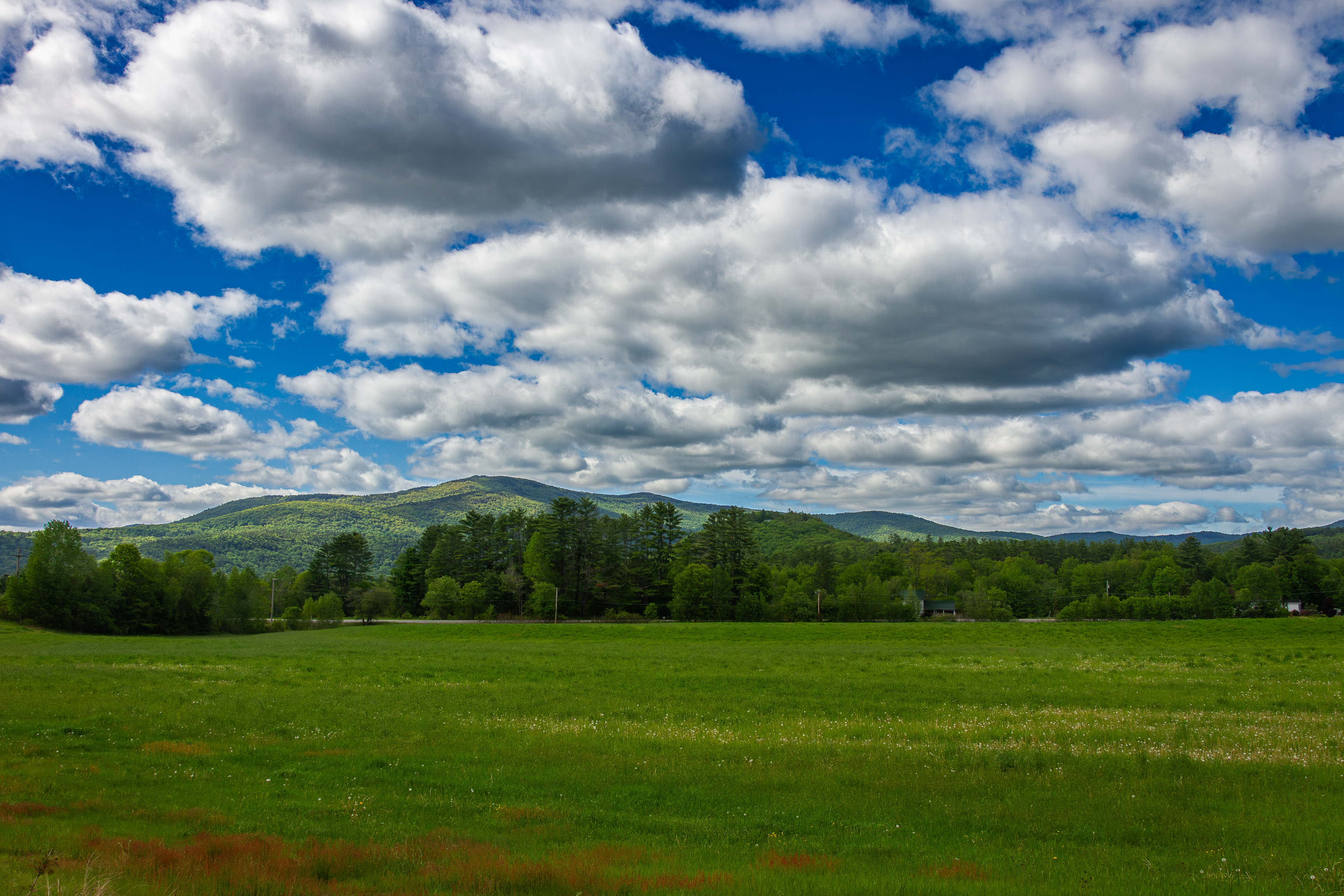View from Smith Bridge