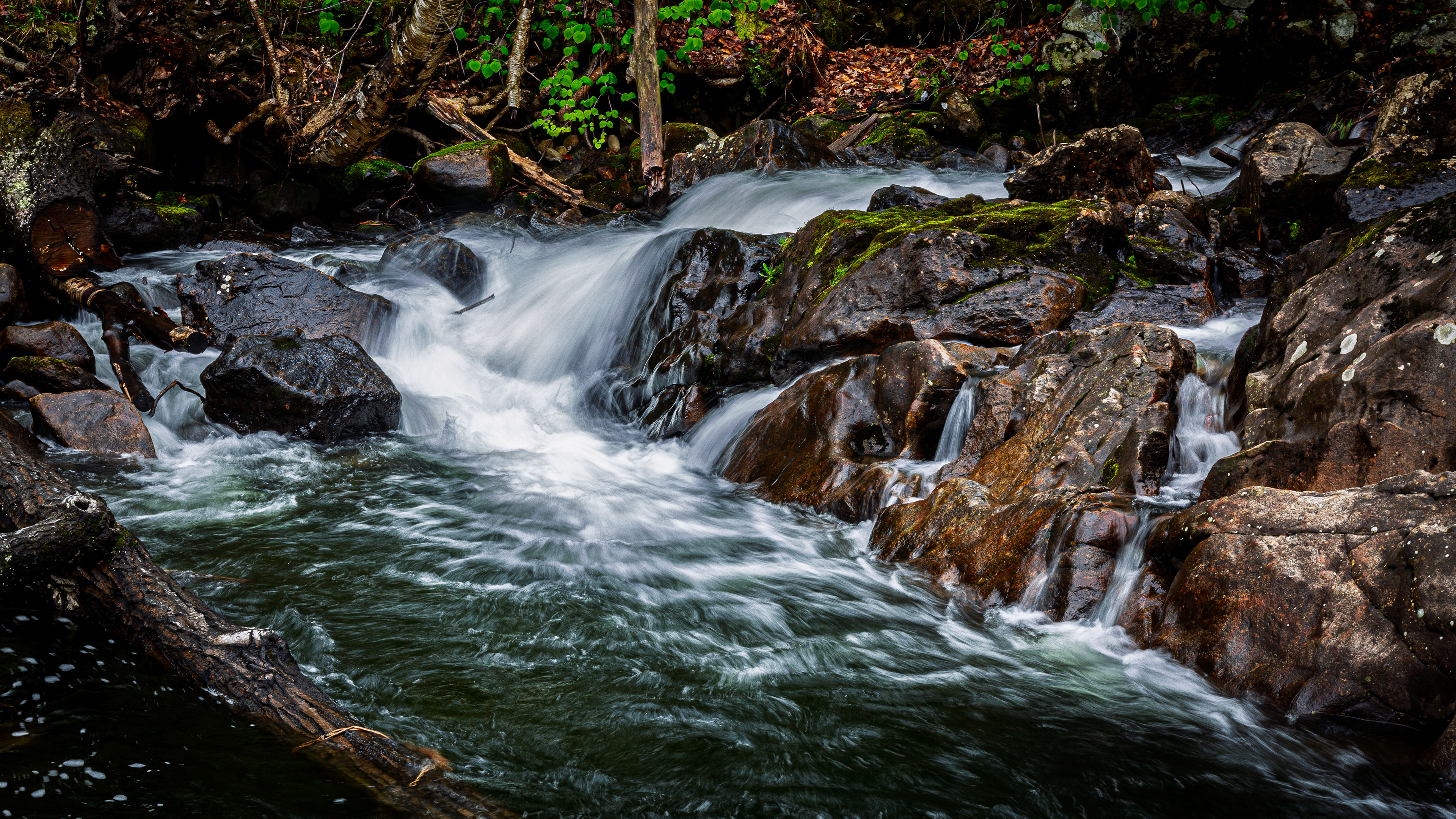 Bristol Falls No1 - May 10, 2026