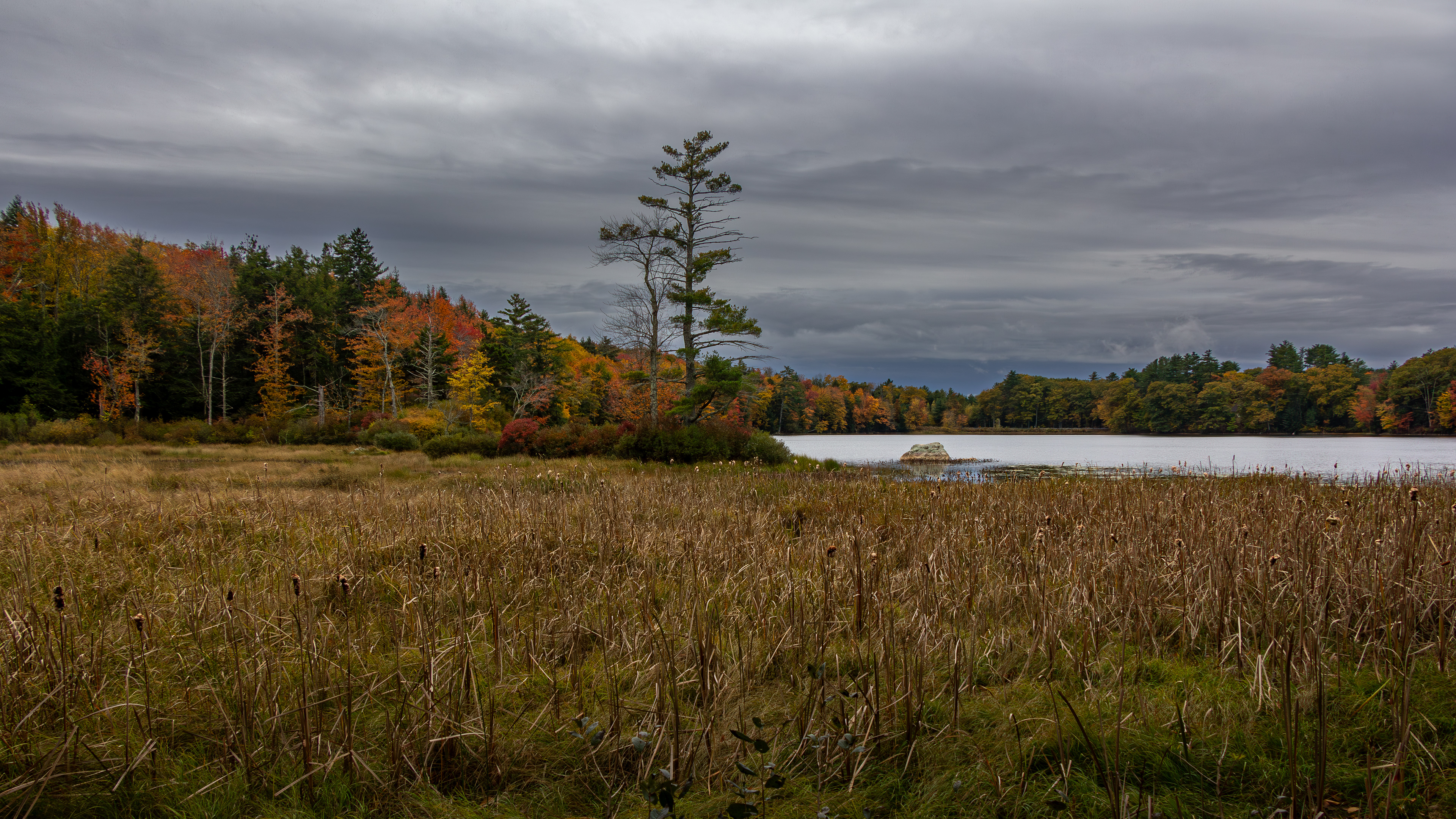 Rollins Pond No11