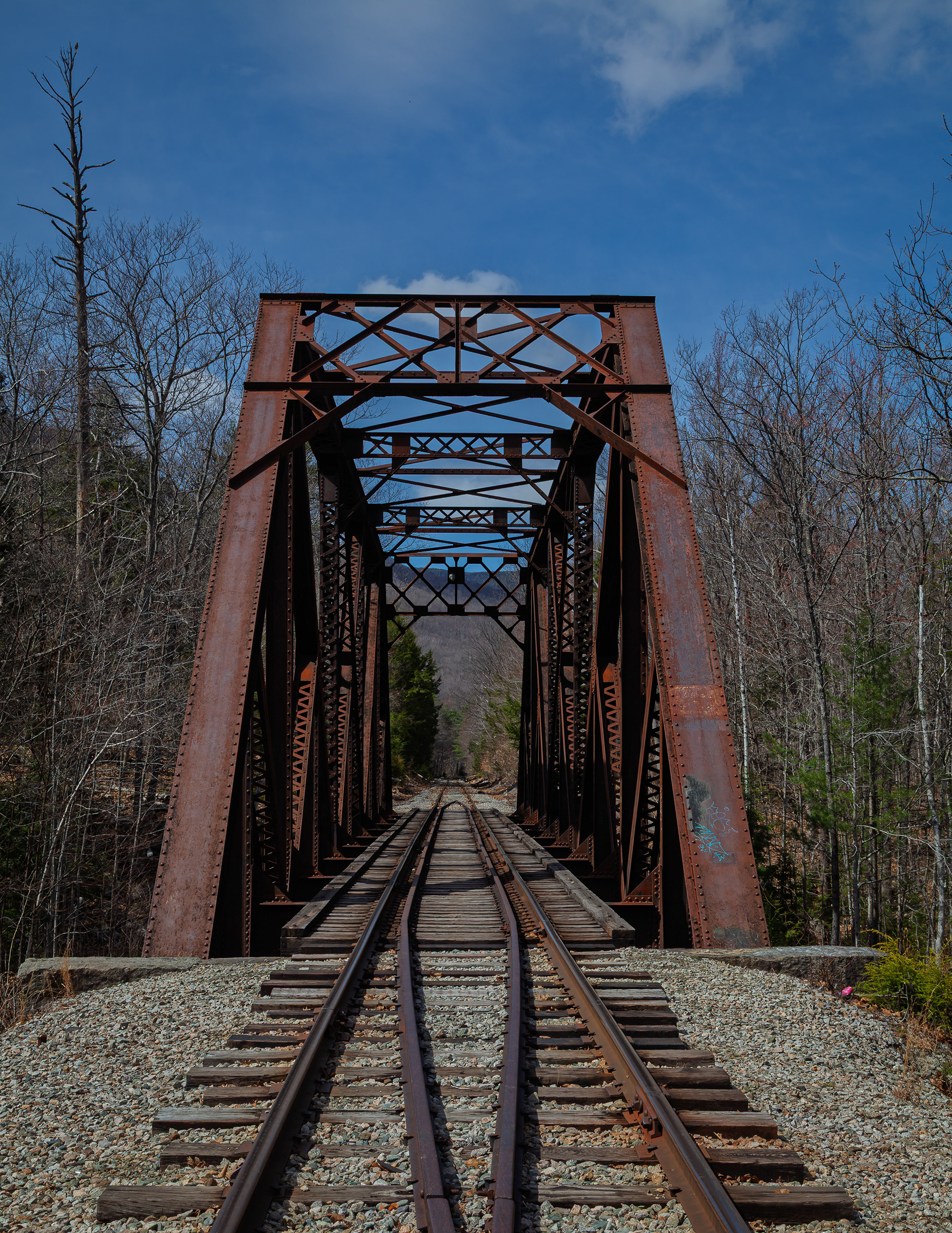 Bridge at Fourth Iron No2