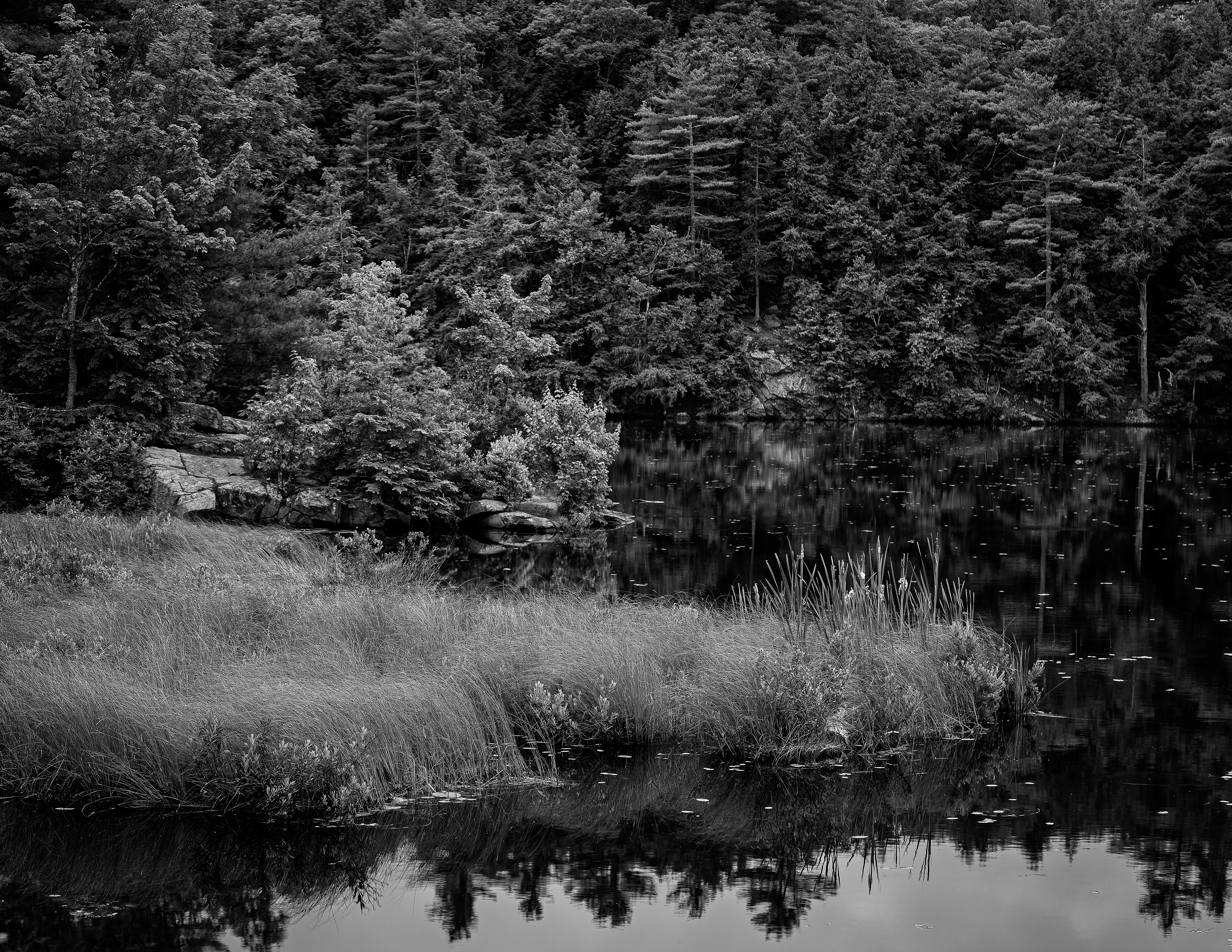 Shellcamp Pond Reflections - June 14, 2026