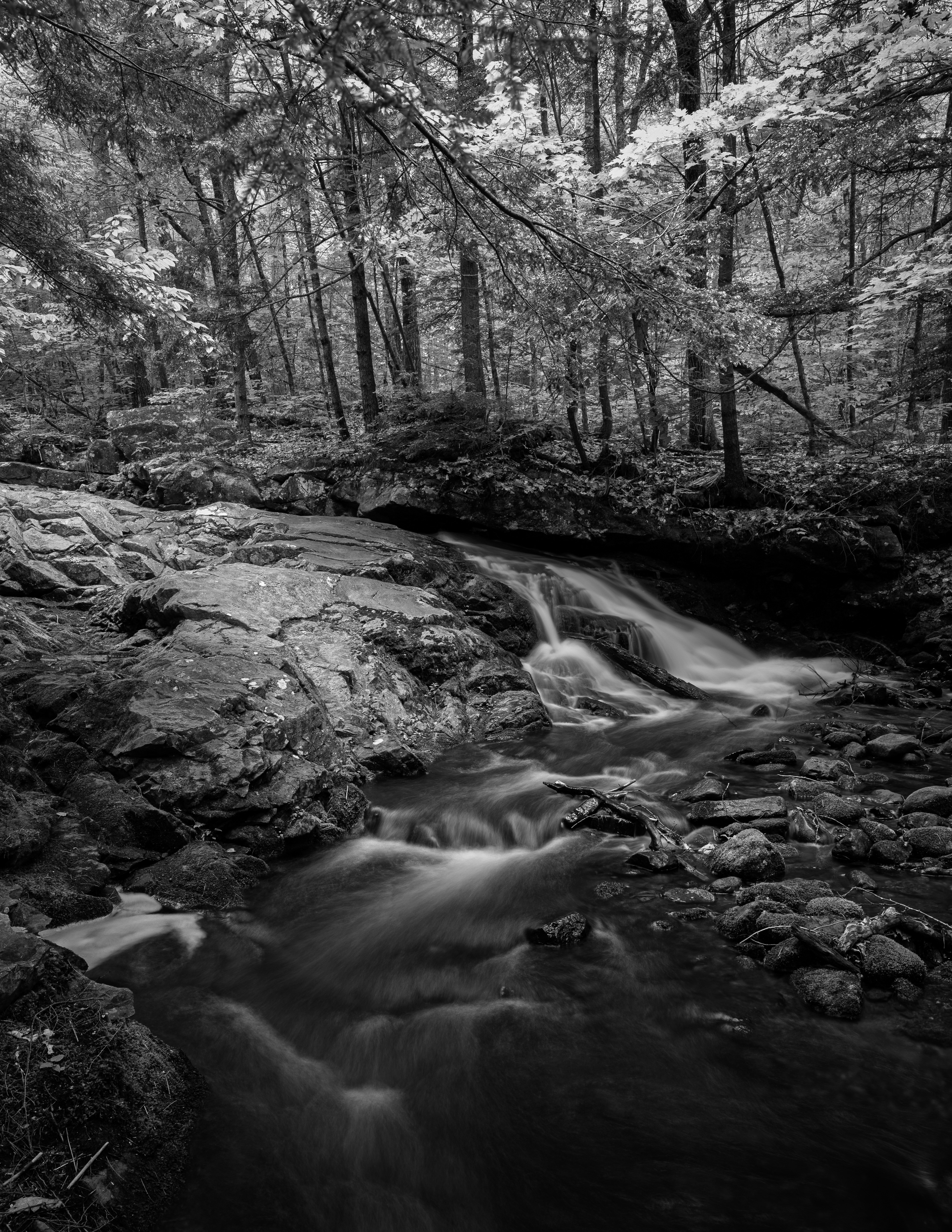 Brook Trail Unnamed Falls No7