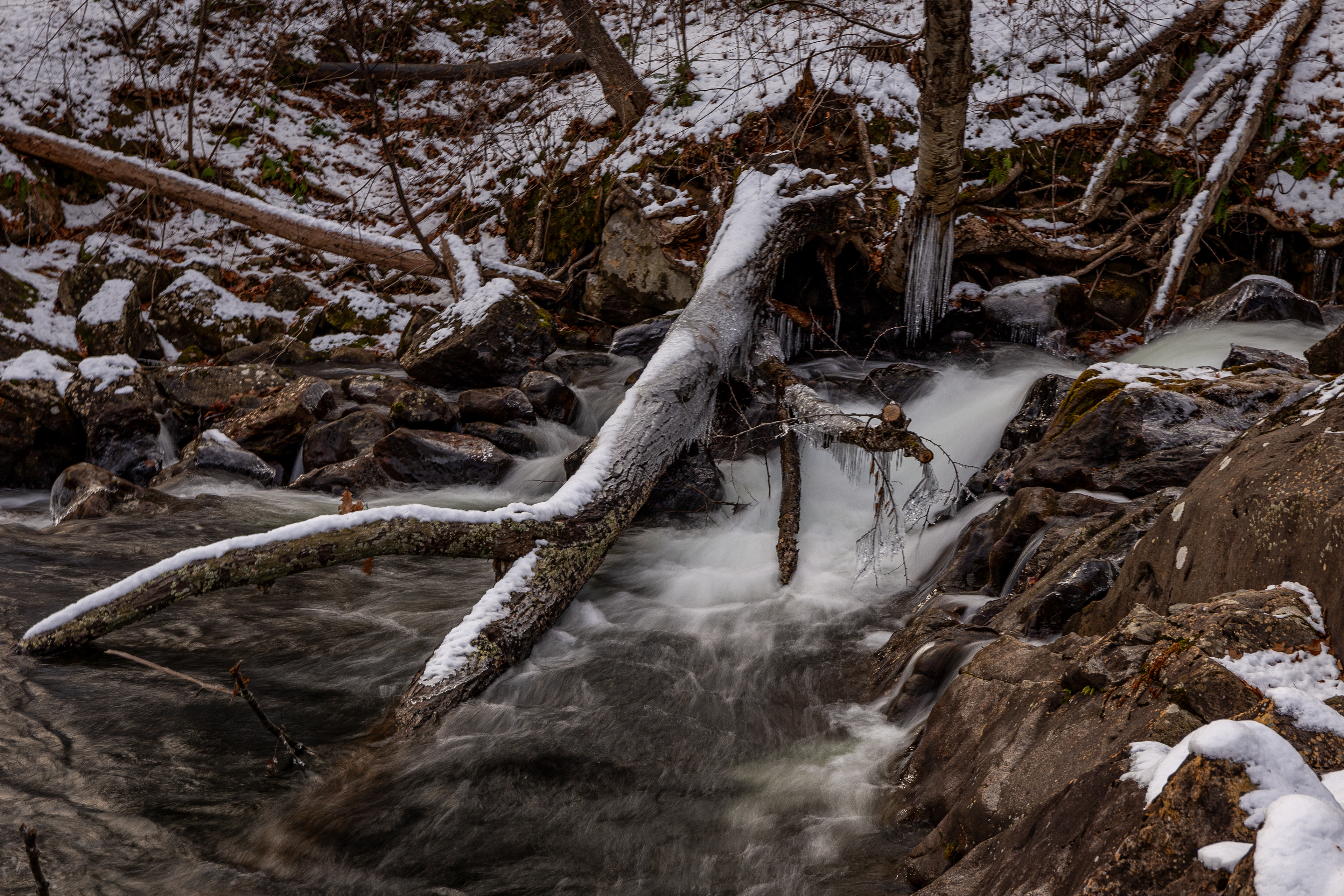 Bristol Falls Park 12-3-2024 No15