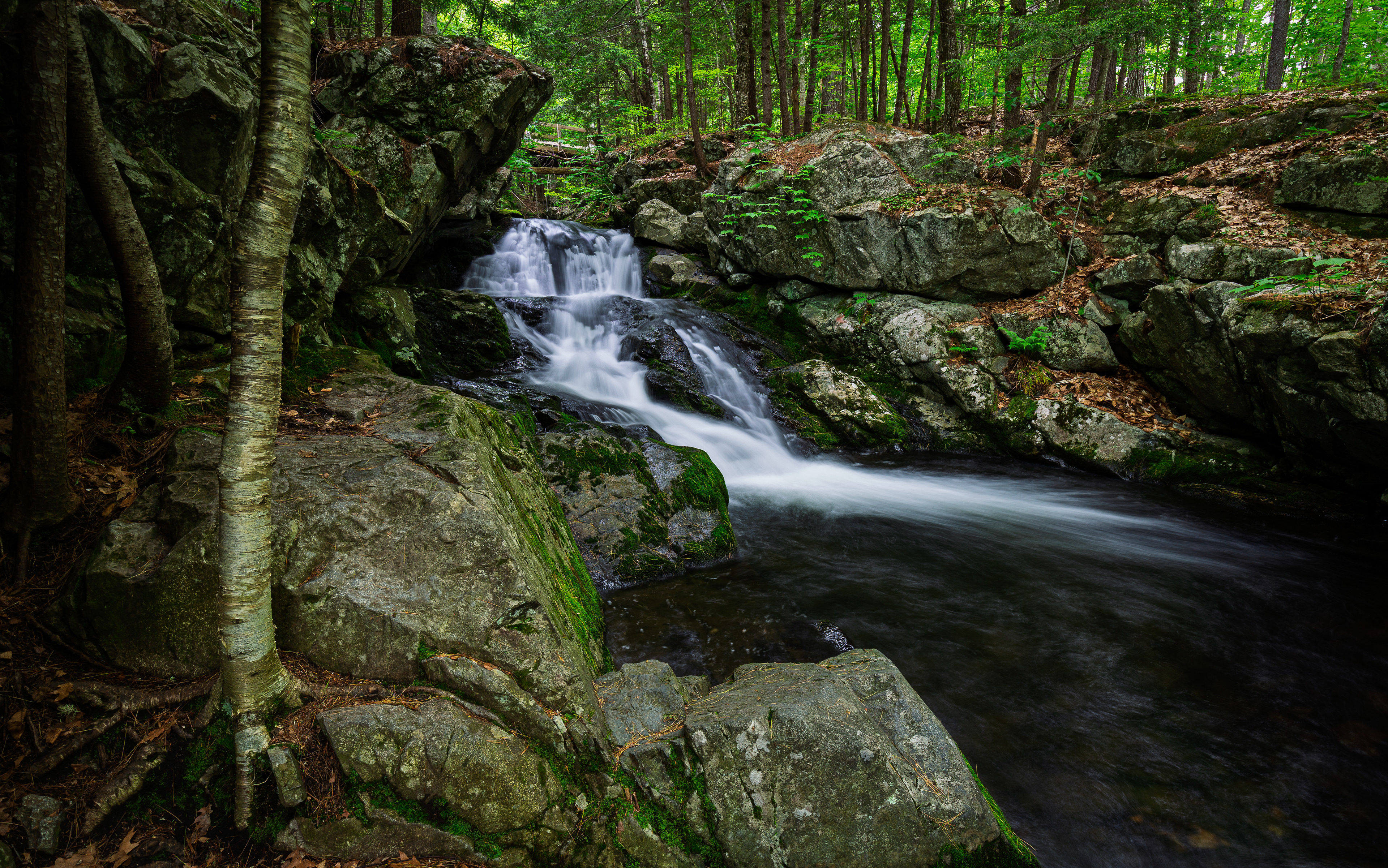 Roaring Falls at CITC - June 9, 2025