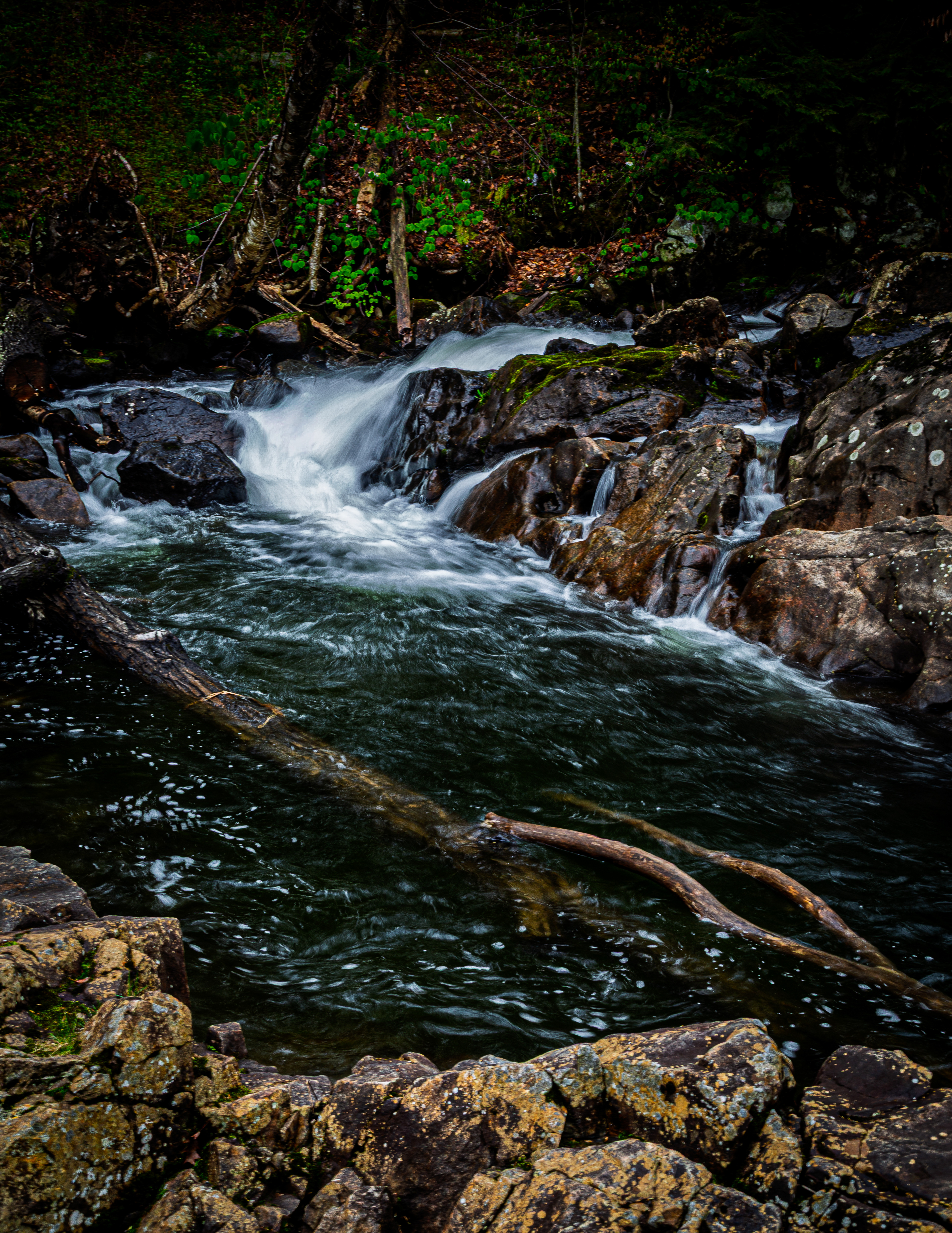 Bristol Falls Park No6