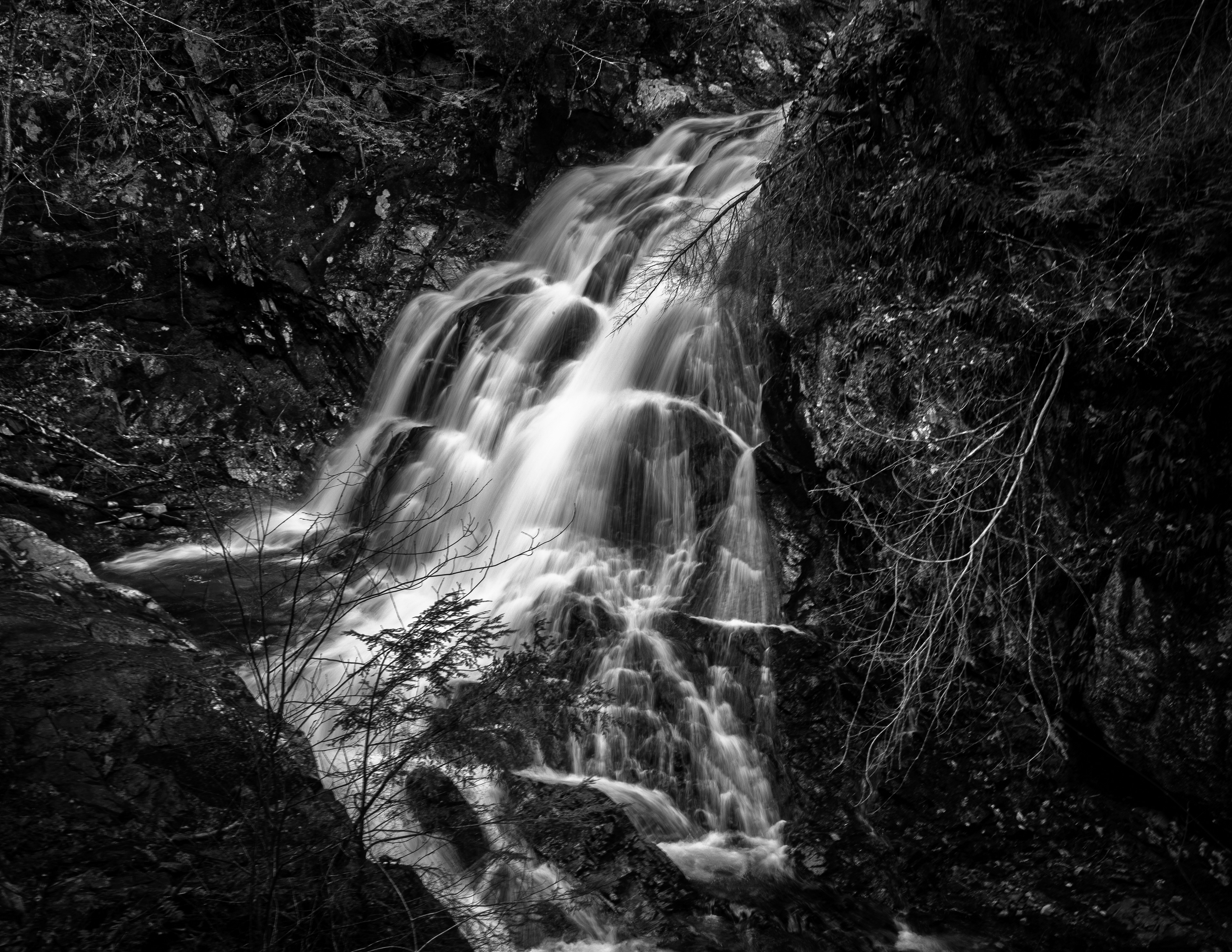 CITC Brook Walk - Bridal Veil Falls No25