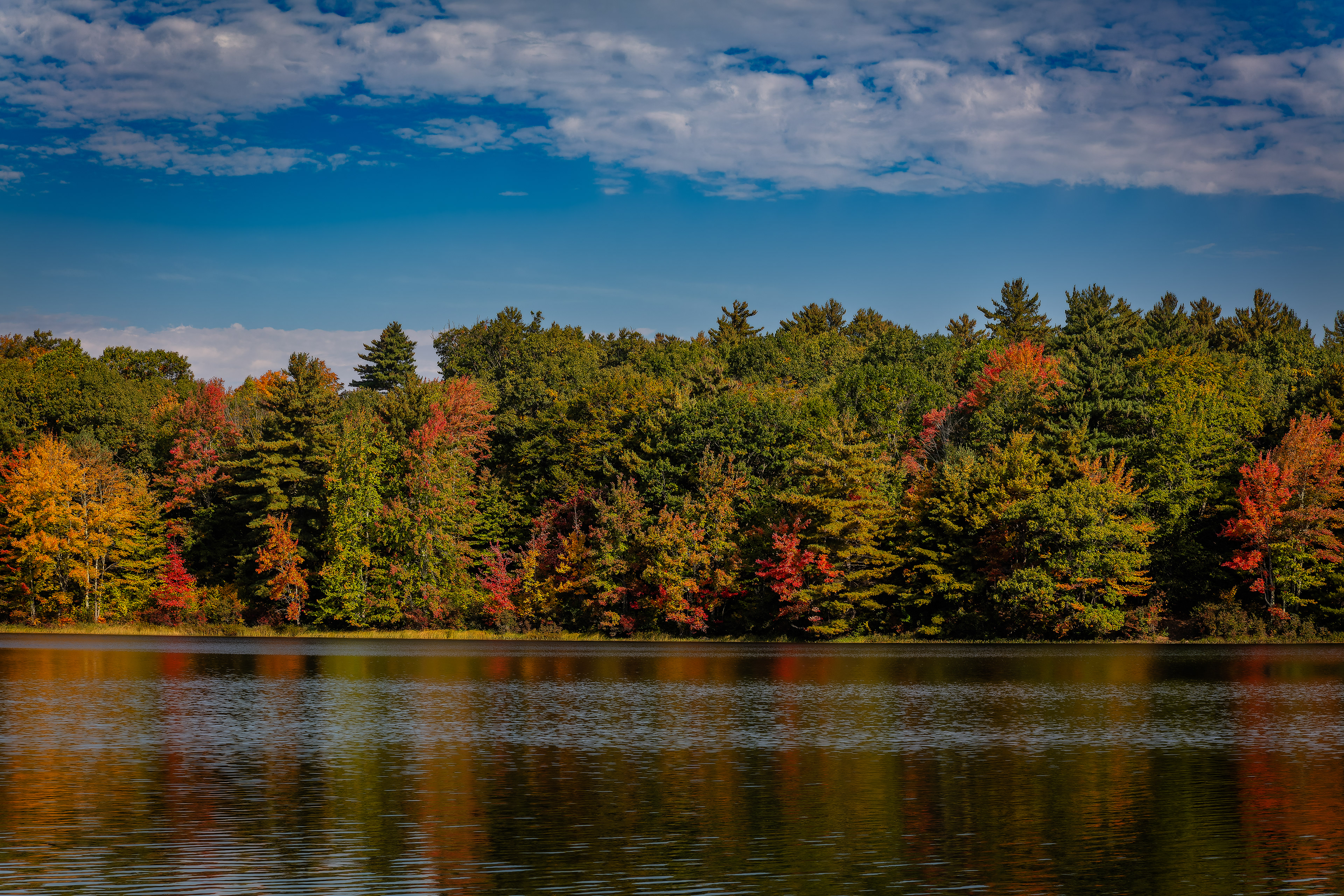Meetinghouse Pond No9