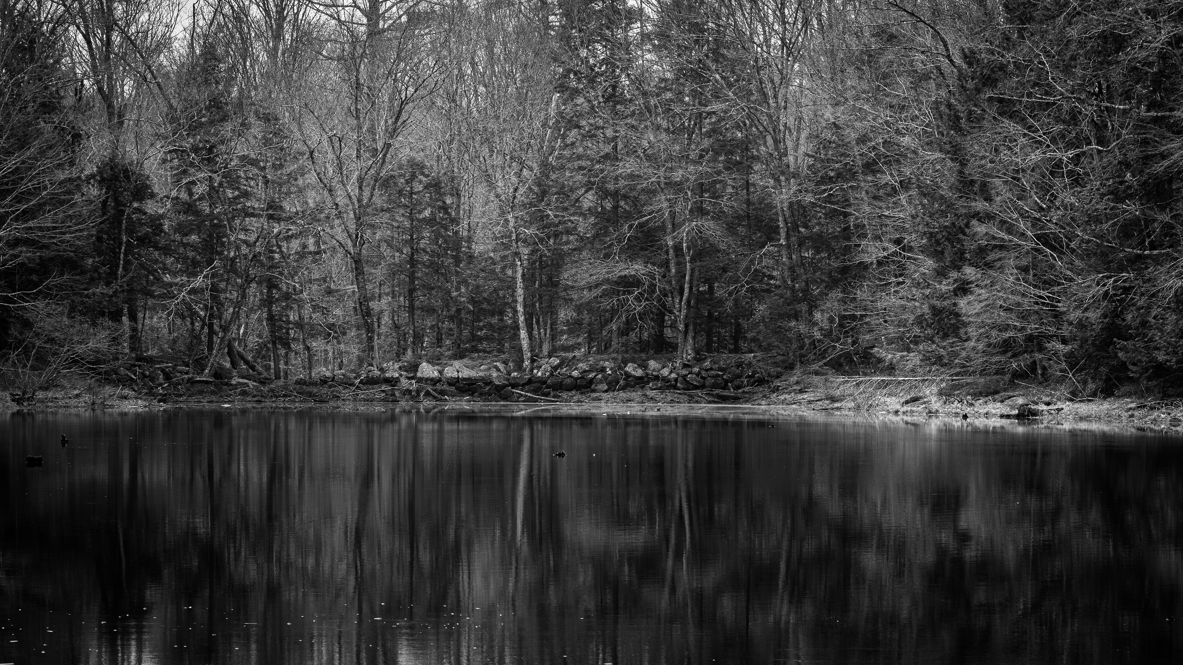 Carding Mill Pond No1