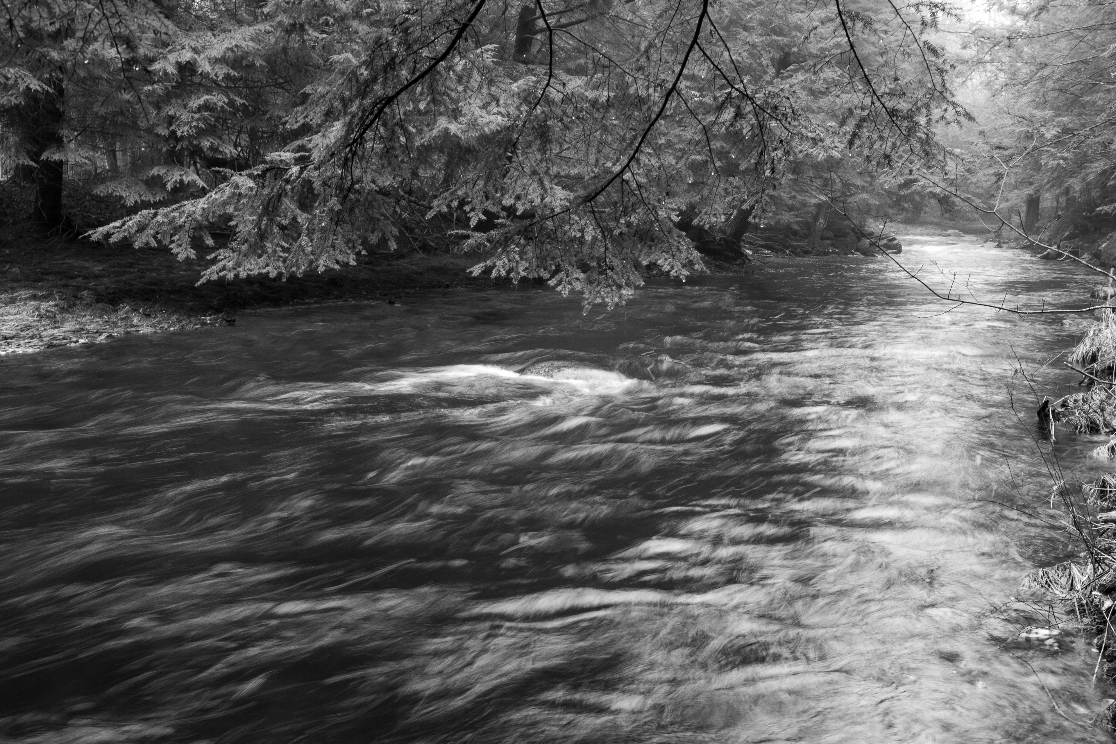 Academy Brook No8