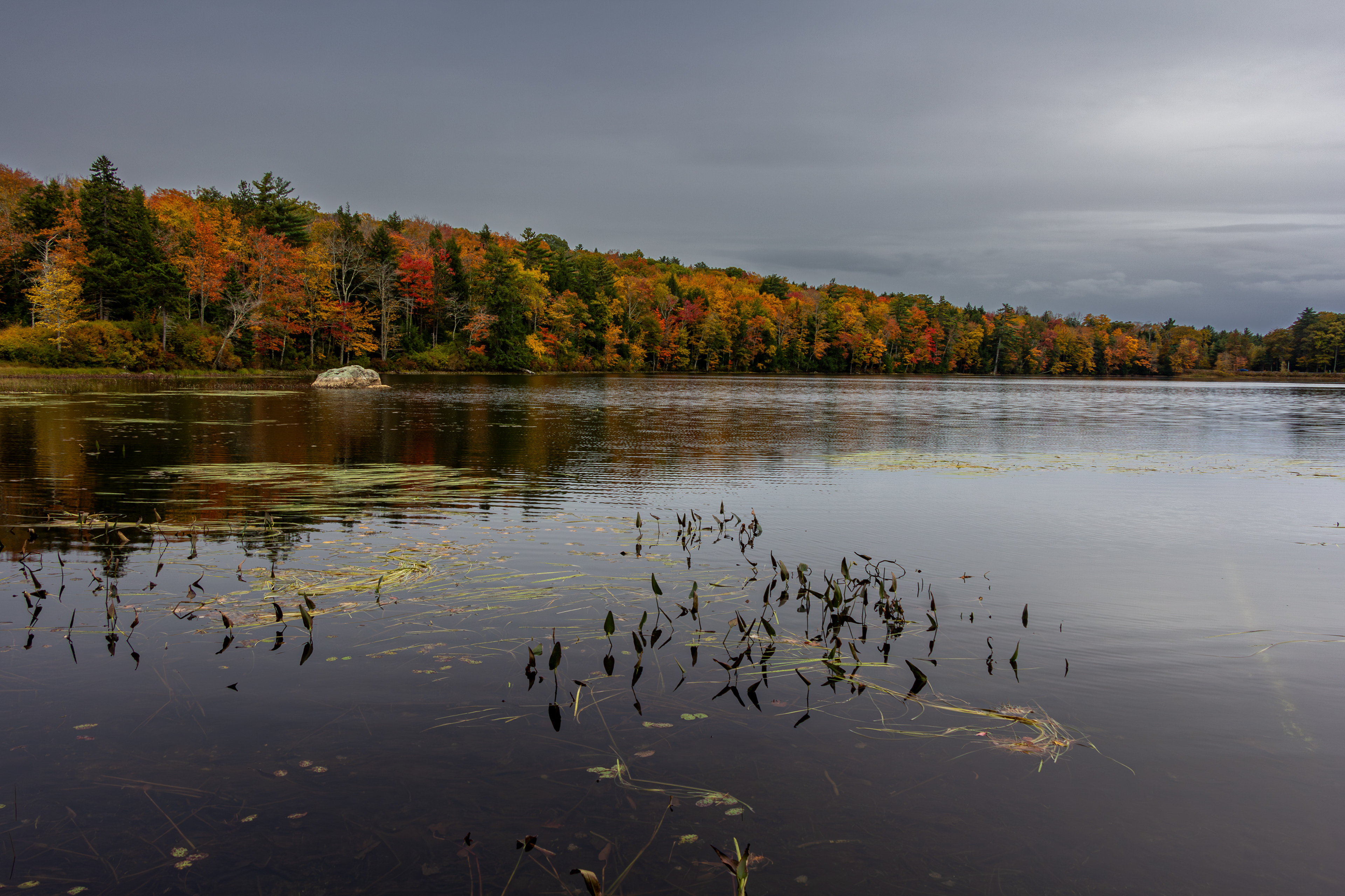 Rollins Pond No8