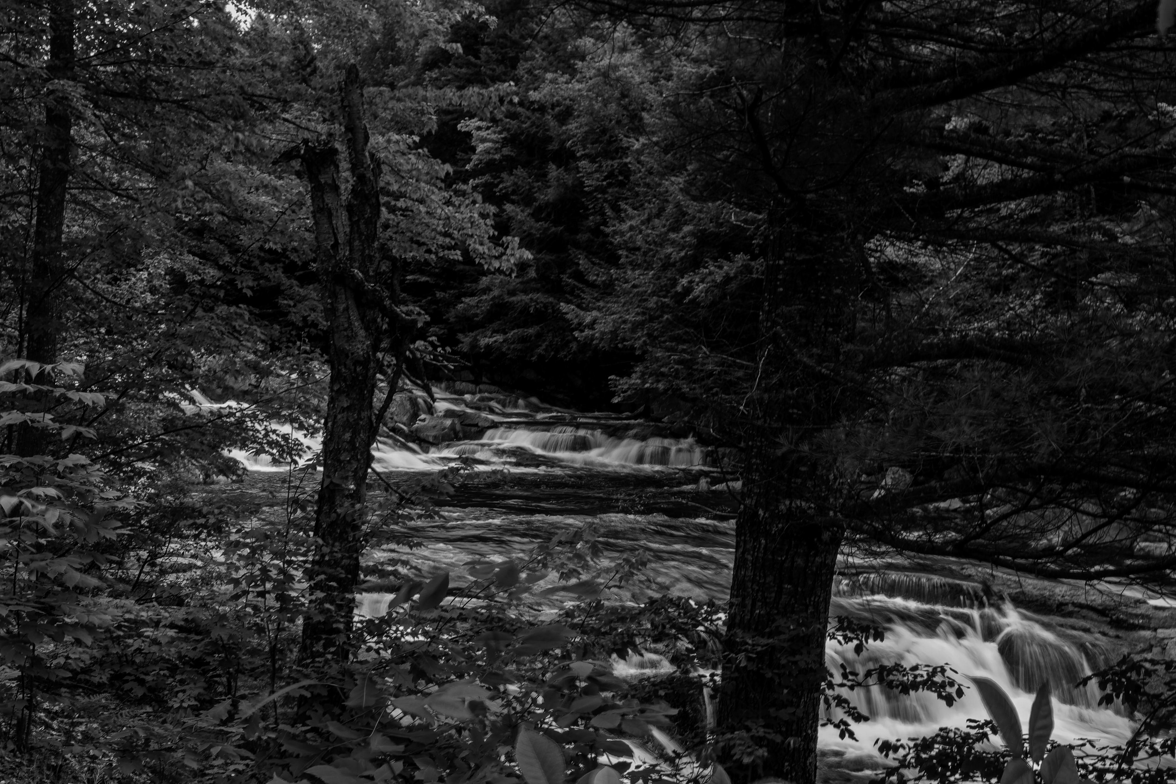 Jackson Falls 31