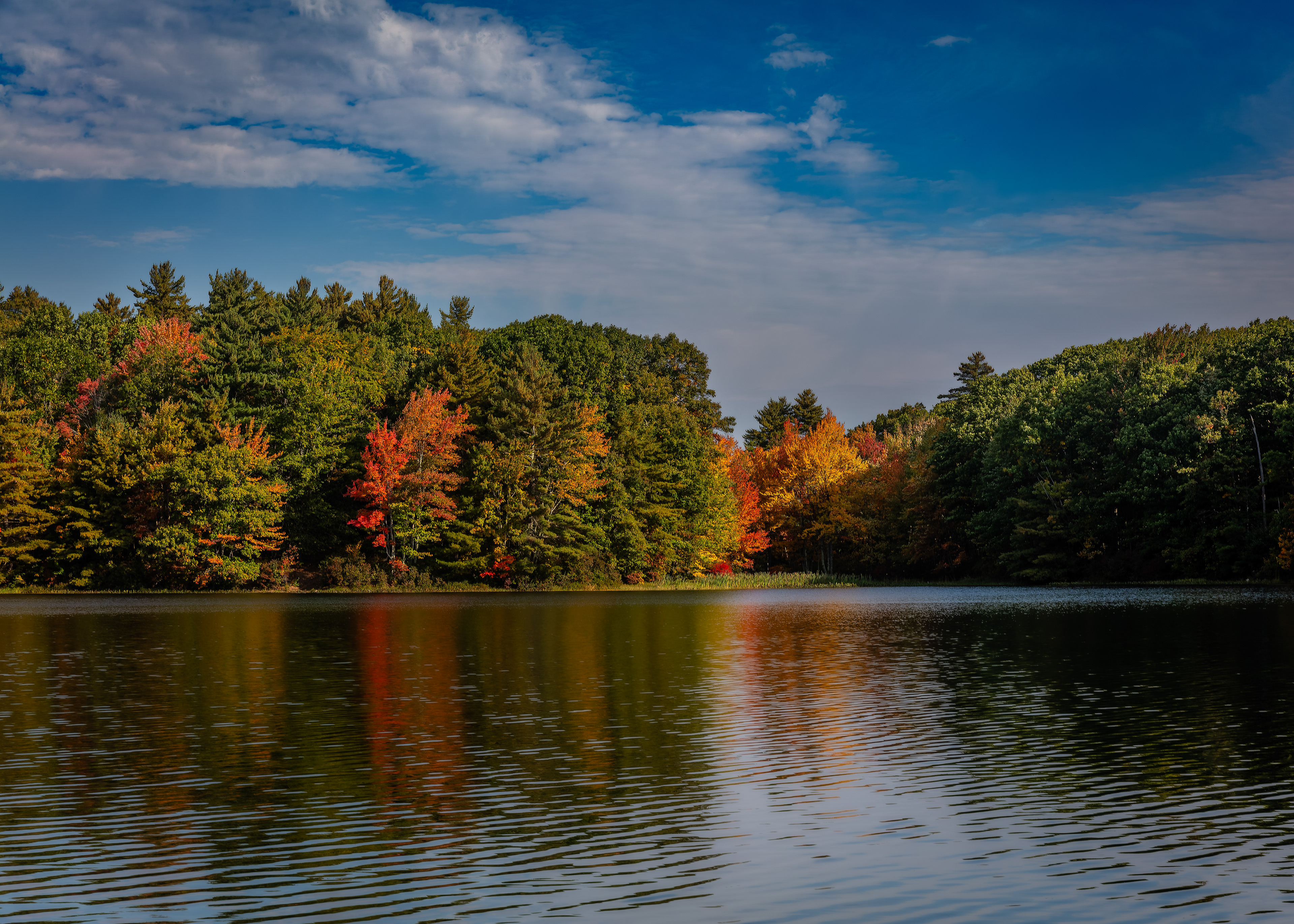 Meetinghouse Pond No7