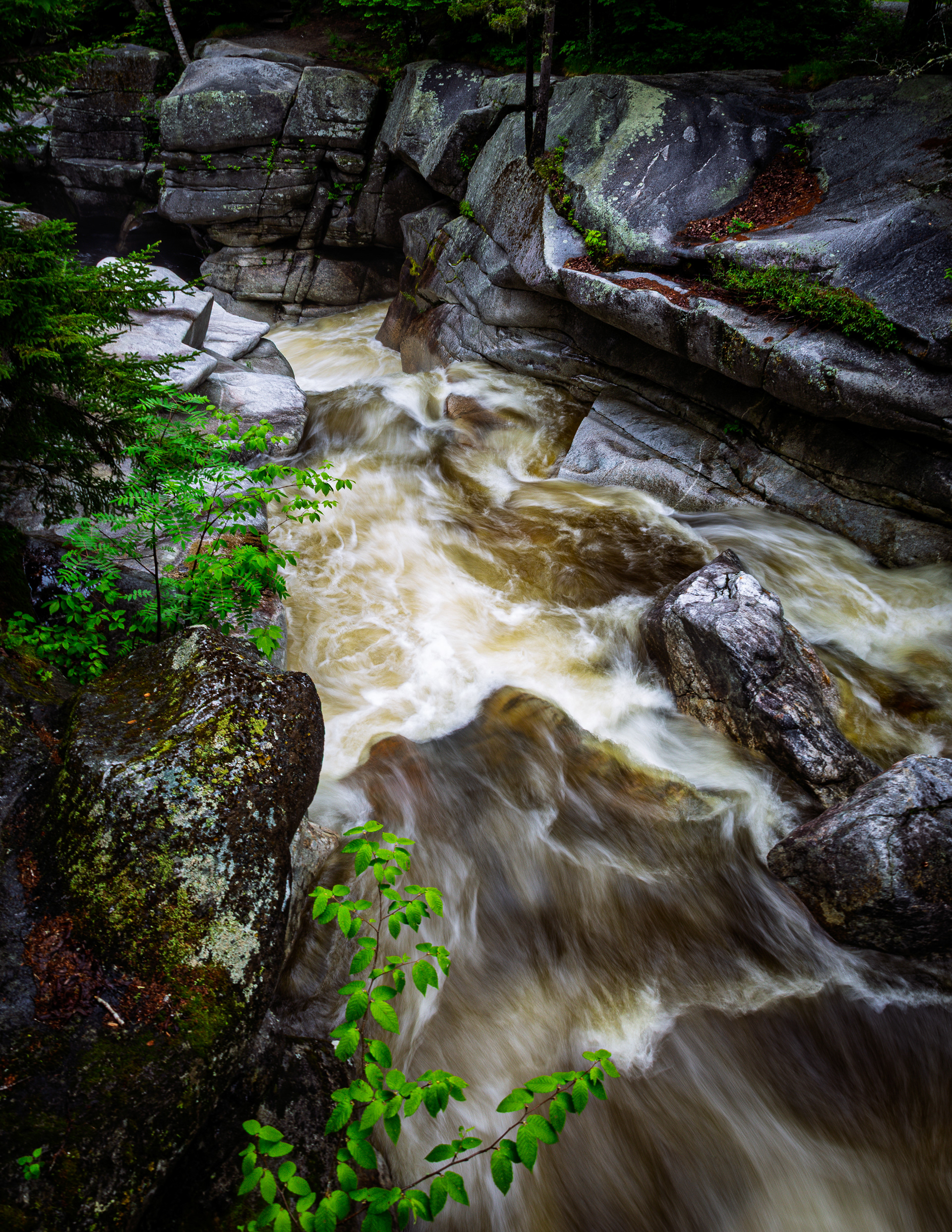 Upper Ammonoosuc Falls No22