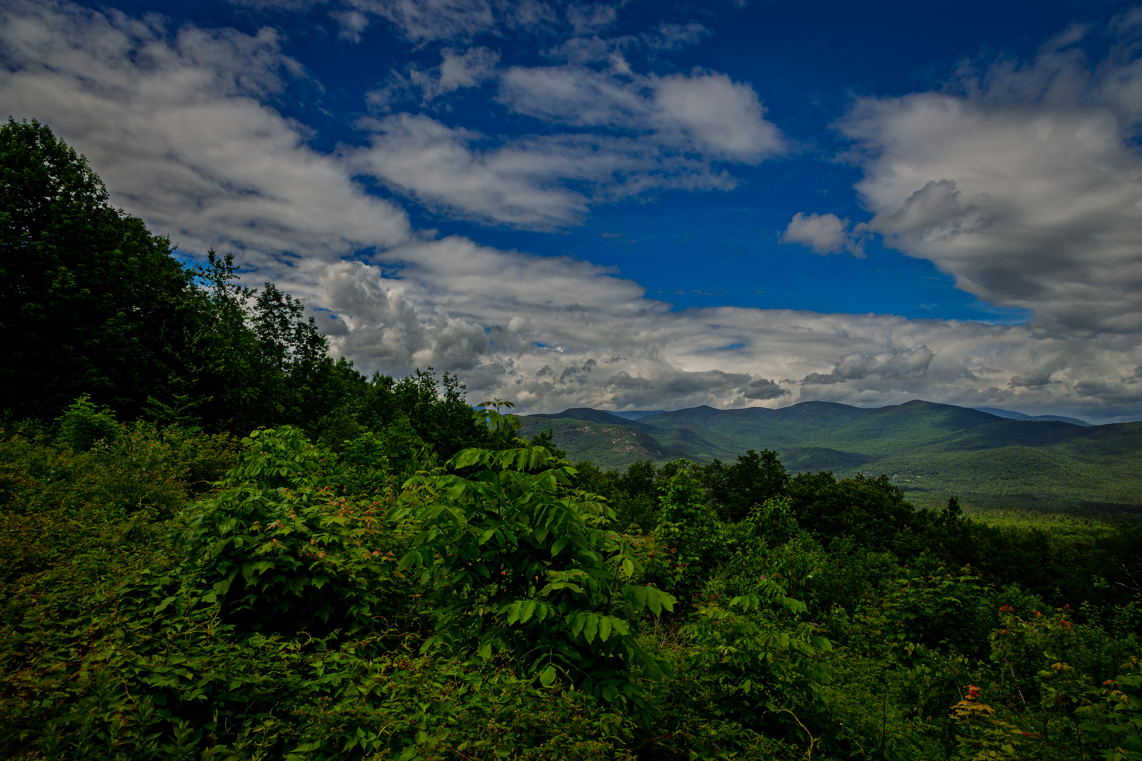 Bear Notch Scenic Vista No4