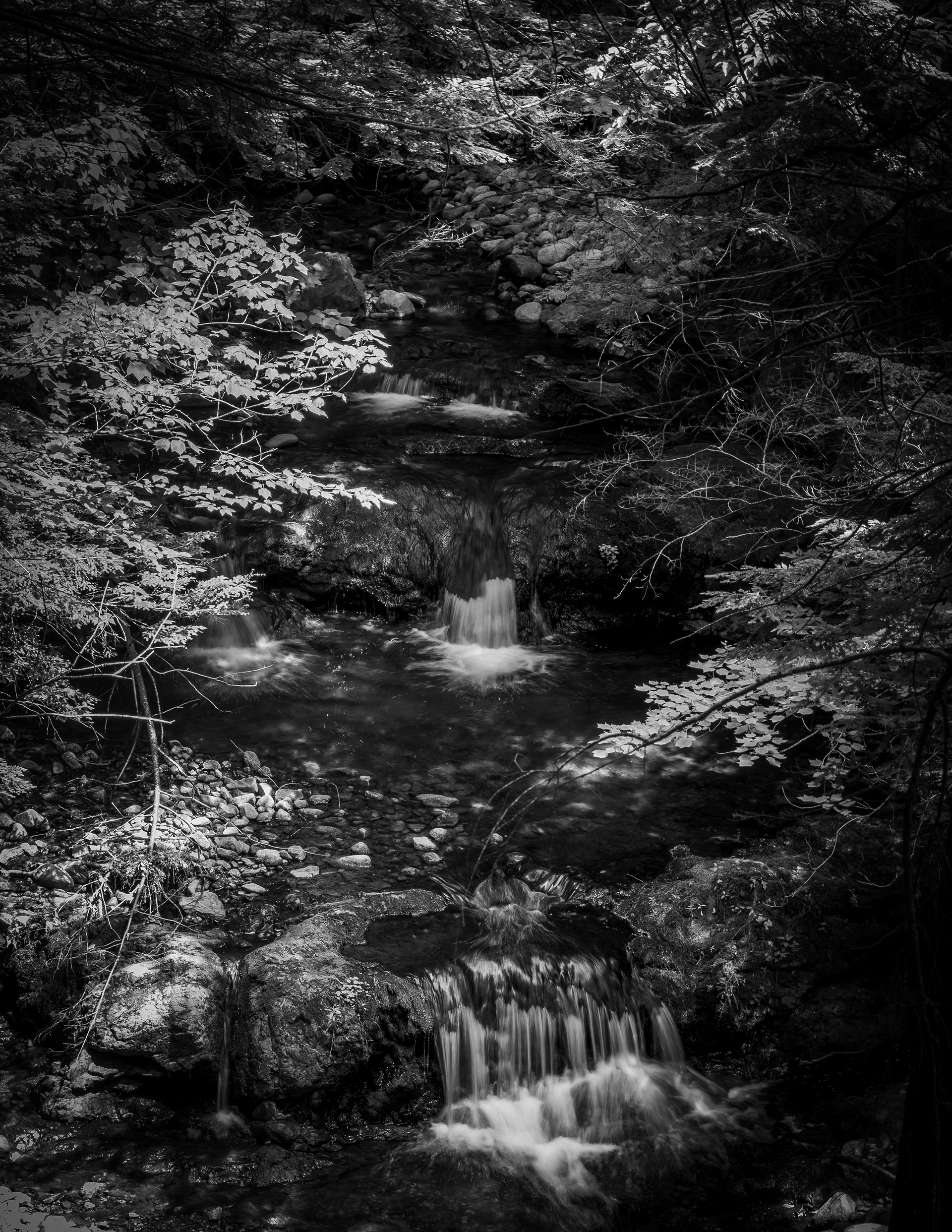 The Cascades at CITC in Black & White