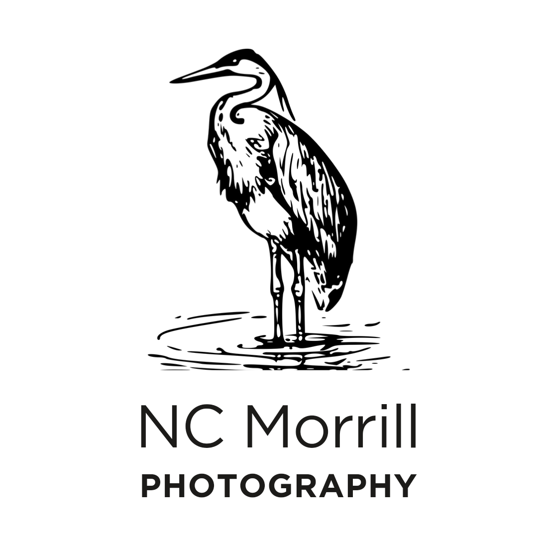 Neil Morrill