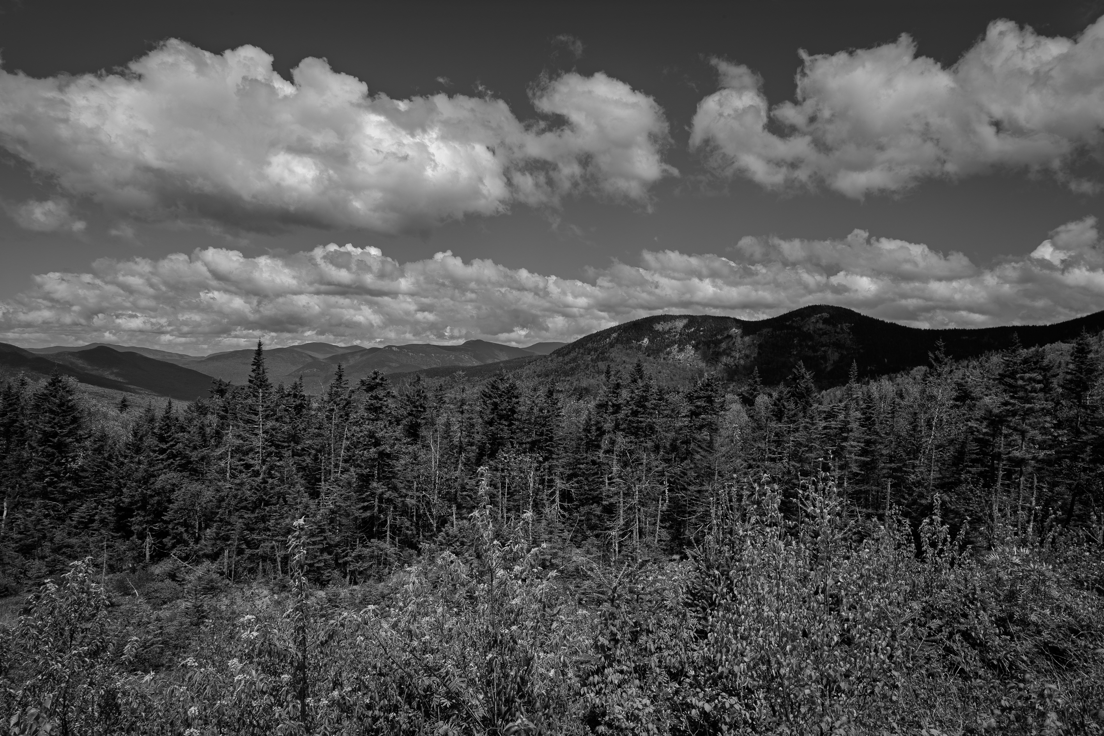 Pemigewasset Scenic Overlook No5