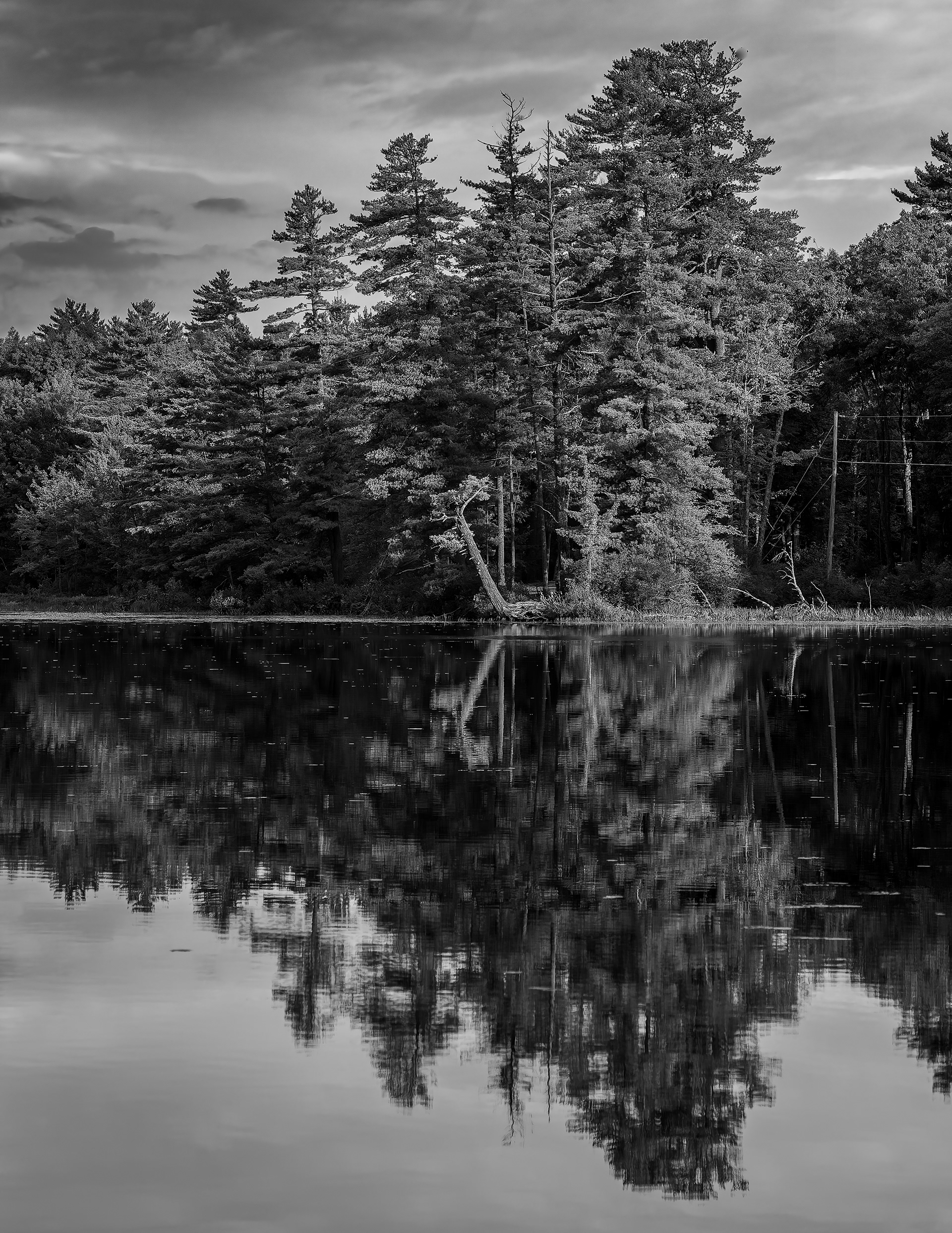 Shellcamp Reflections No4 - September 20, 2026