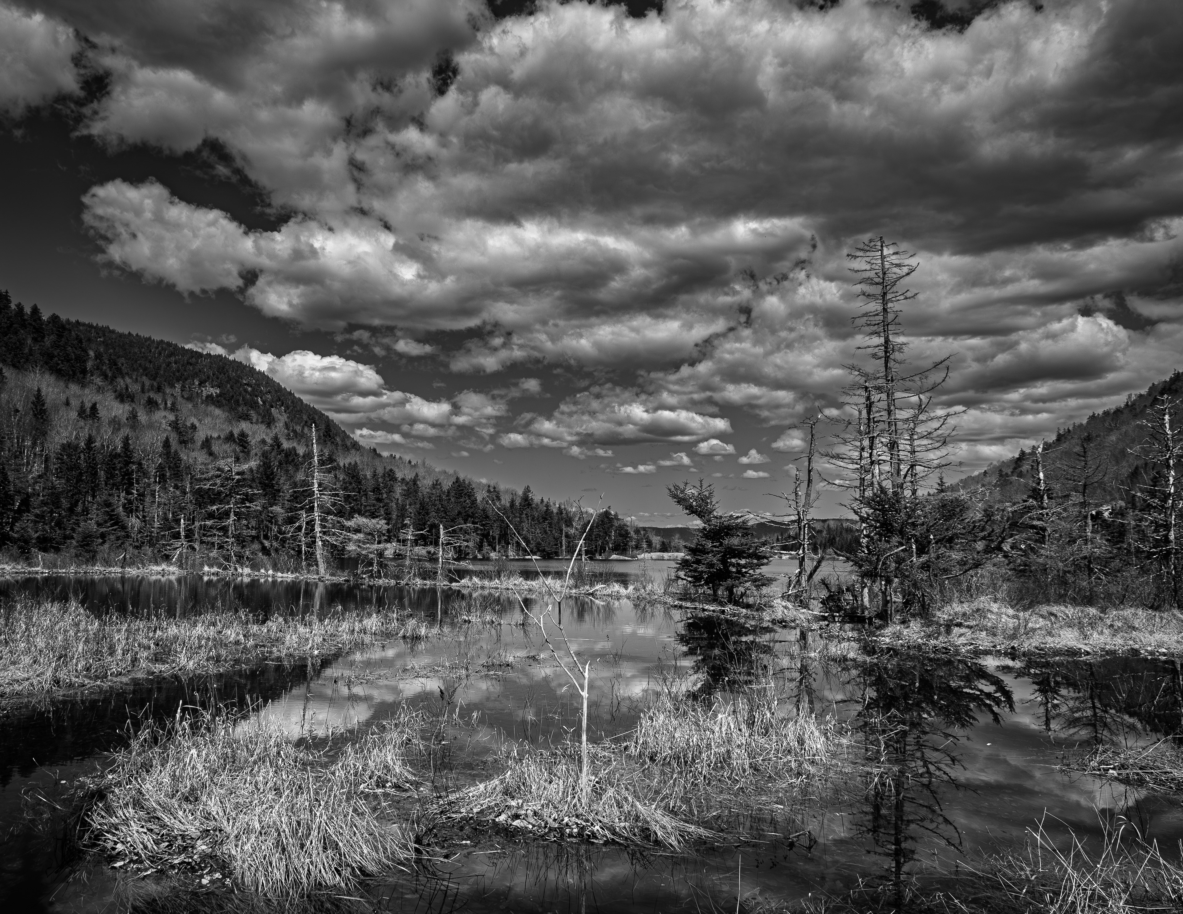 Beaver Pond from Beaver Brook Trail No1
