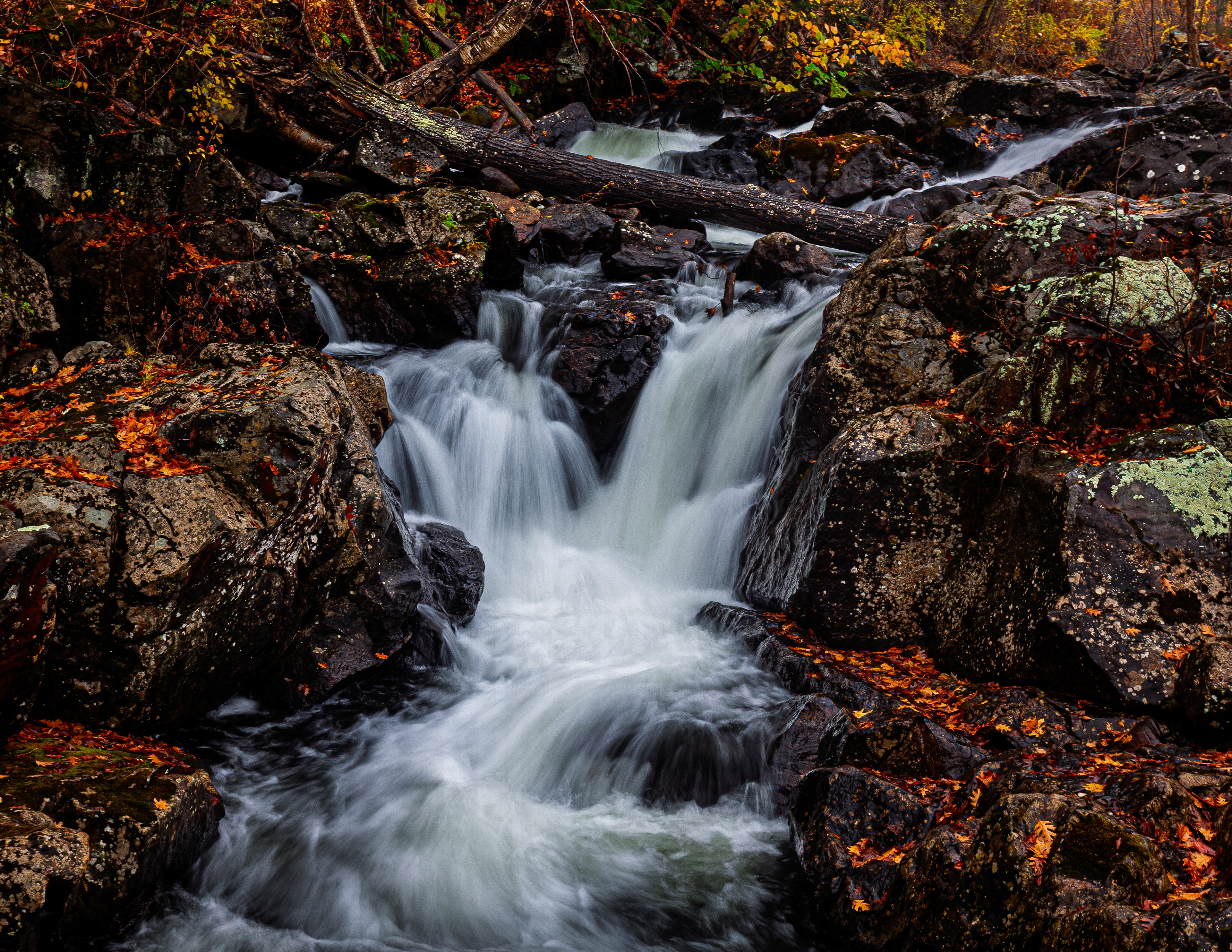 Bristol Falls Park No18