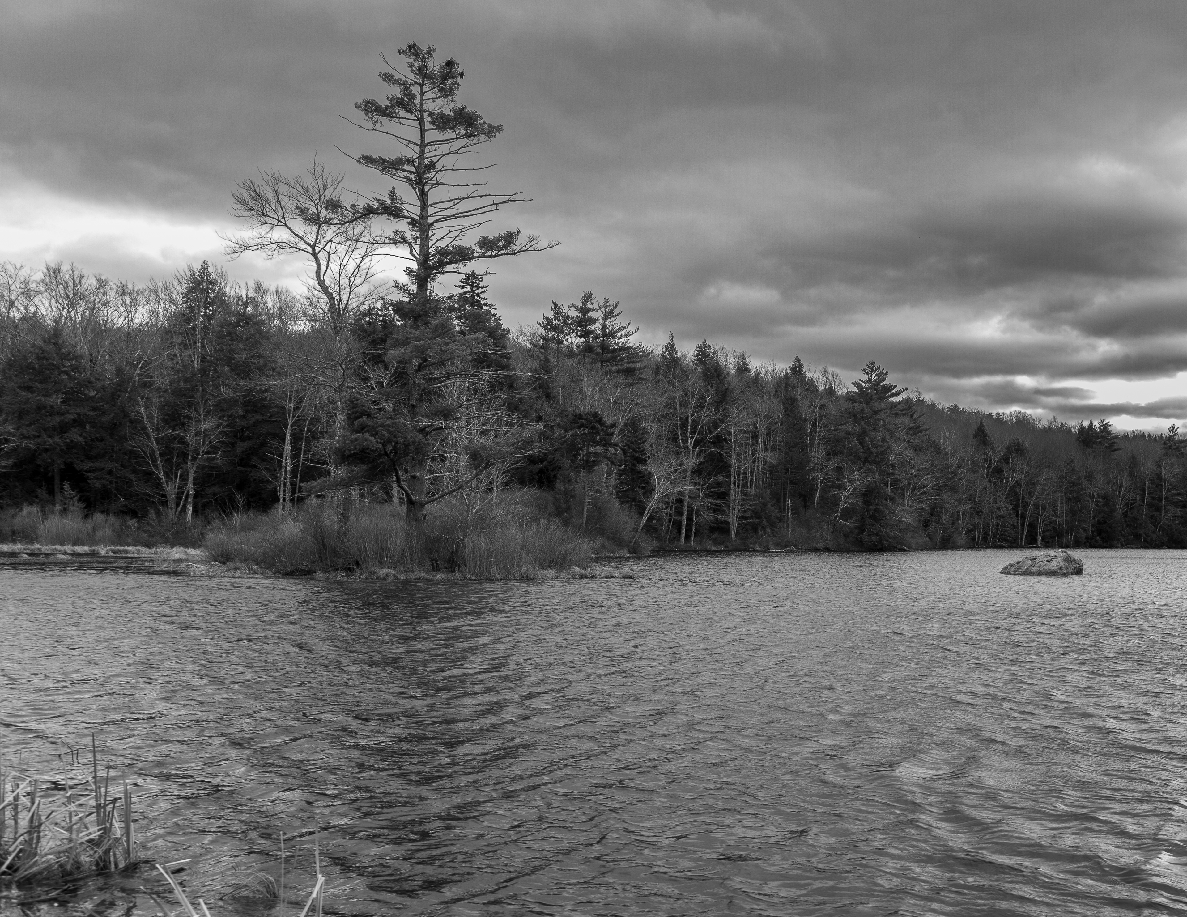 Rollins Pond No2