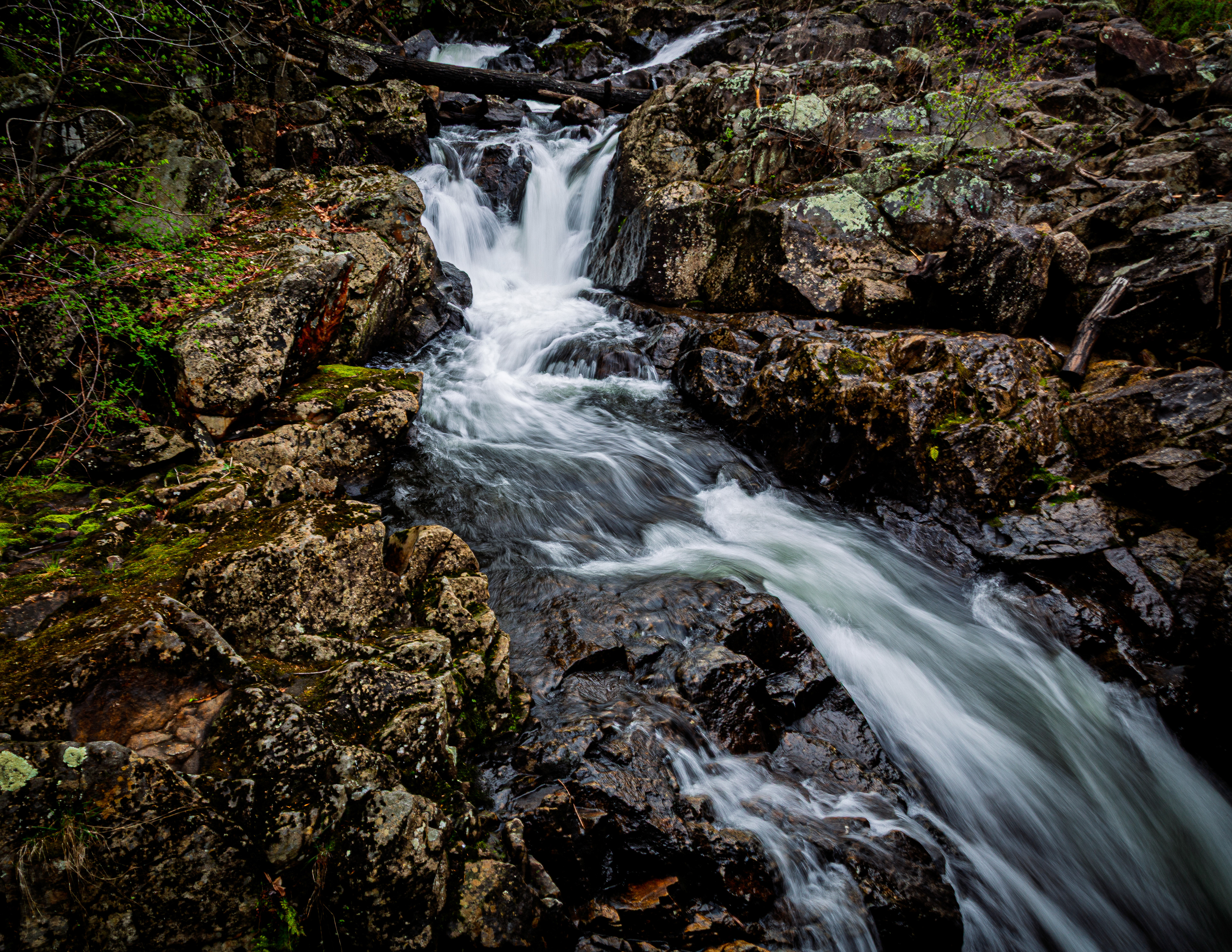 Bristol Falls Park No14