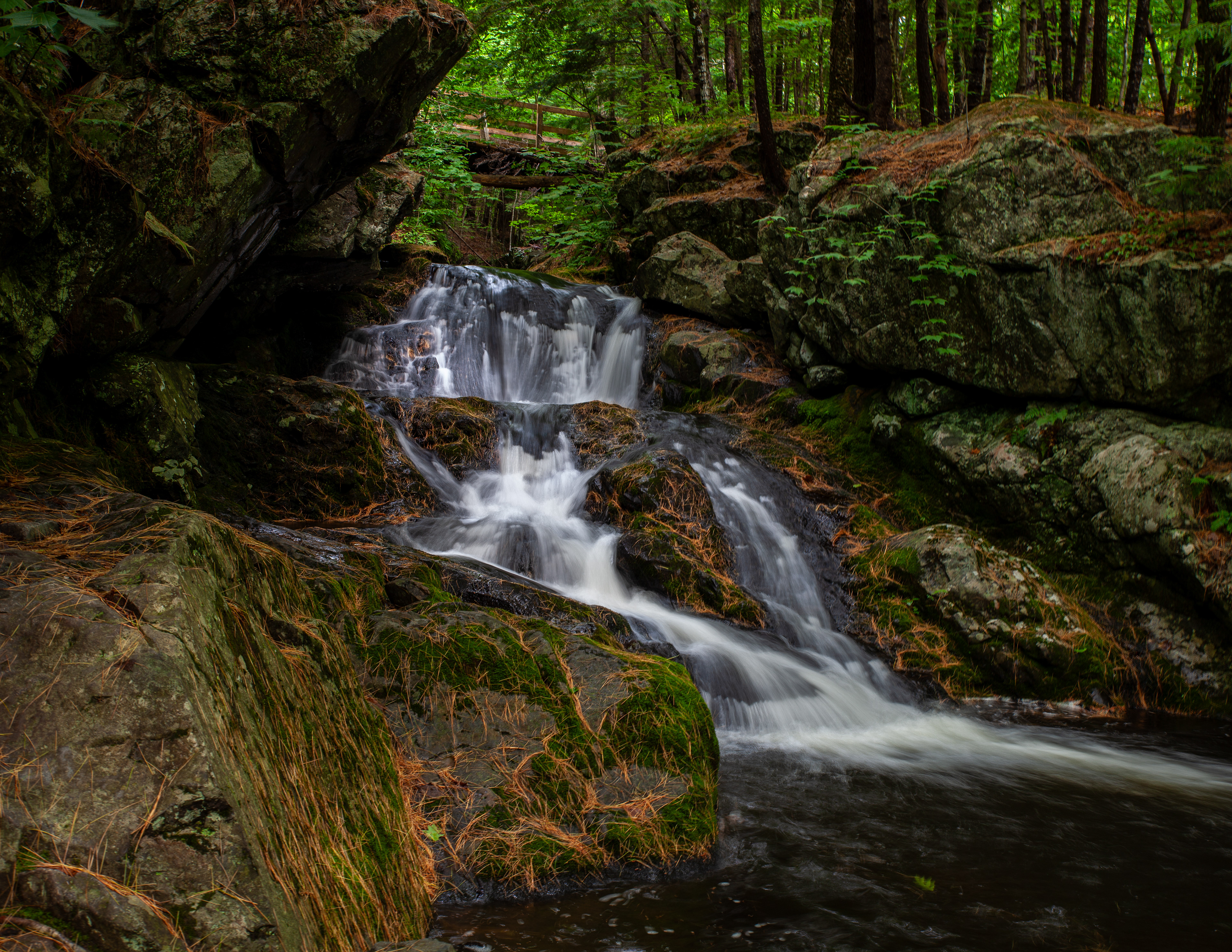 Roaring Falls 2024