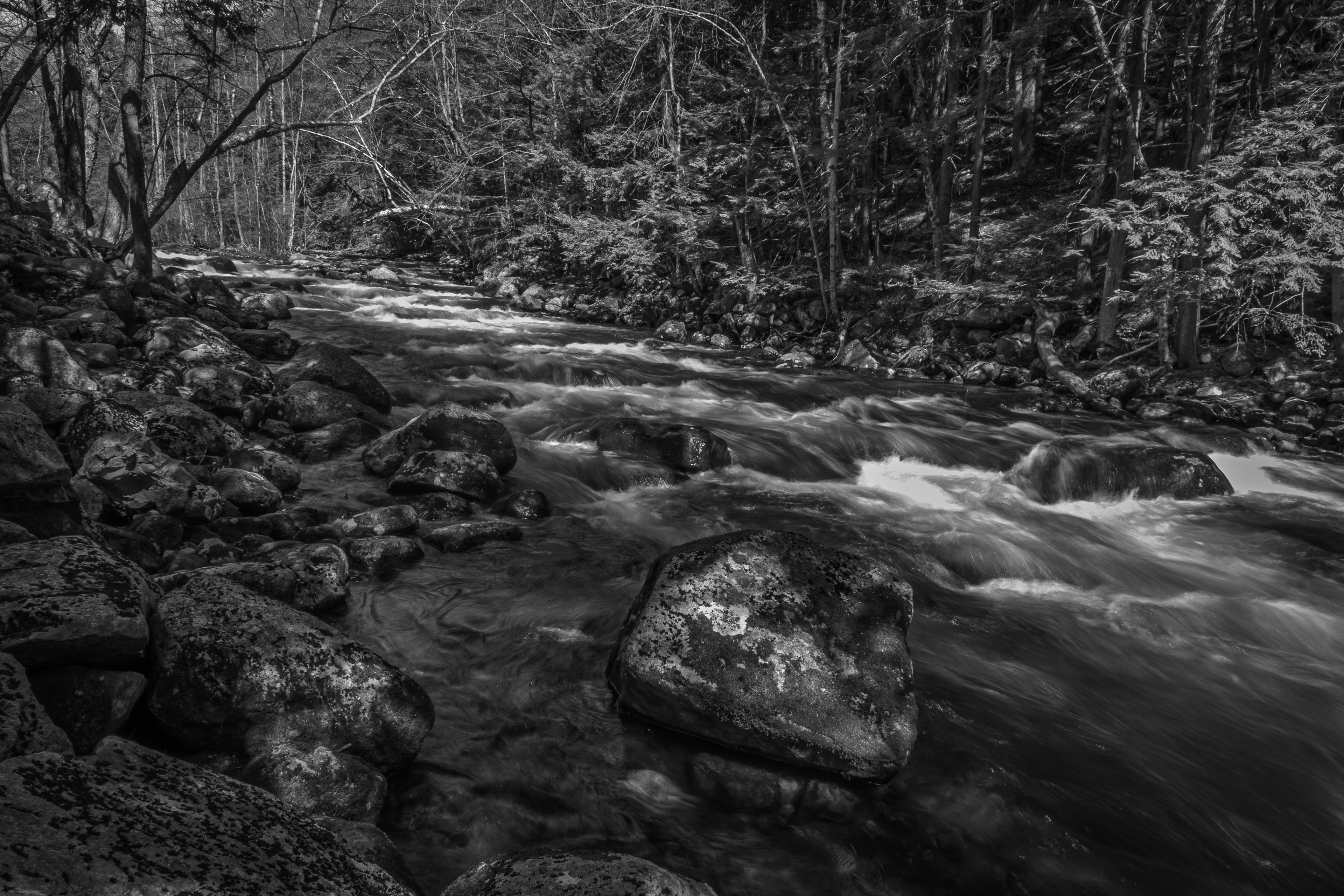 Newfound River at Mill Stream Park No1