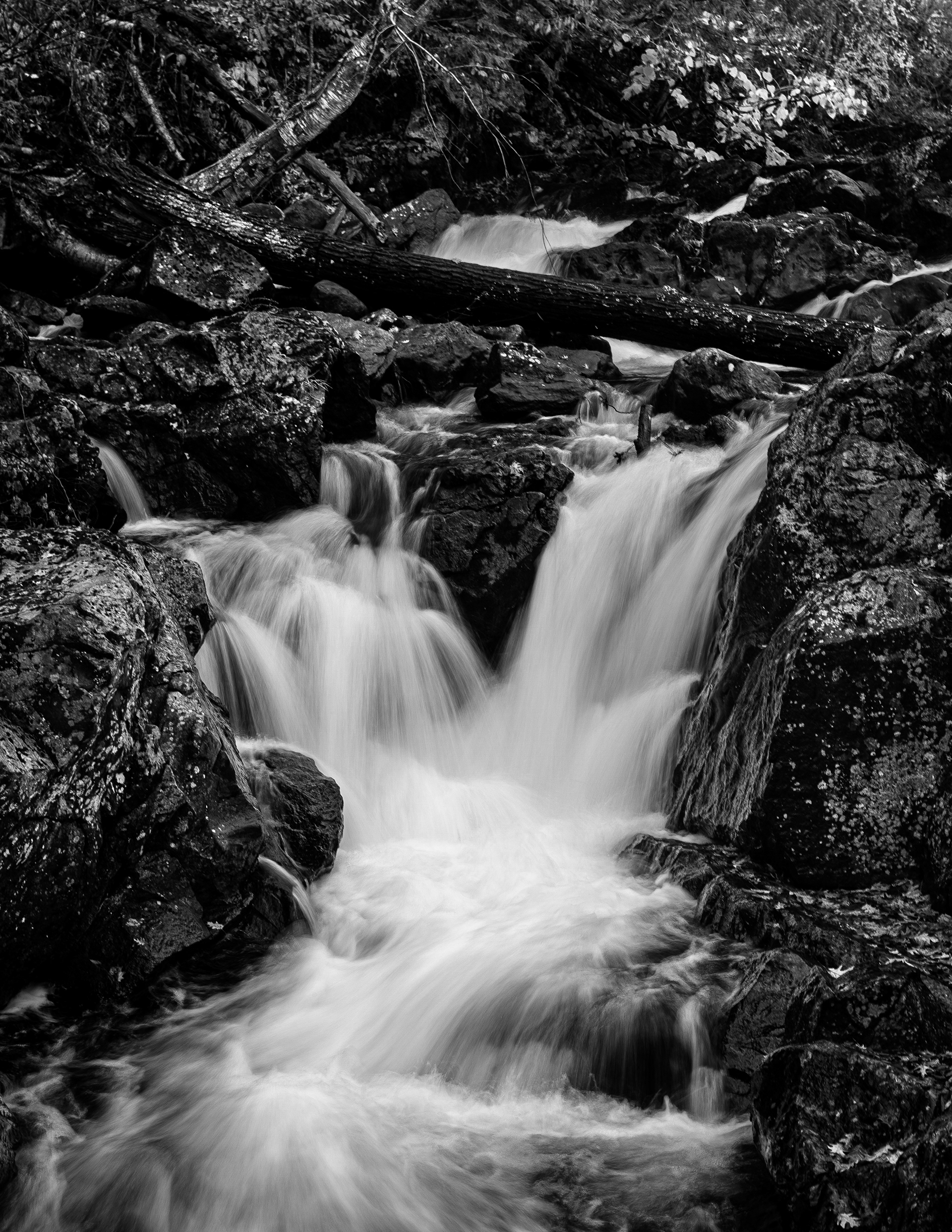 Bristol Falls Park No19