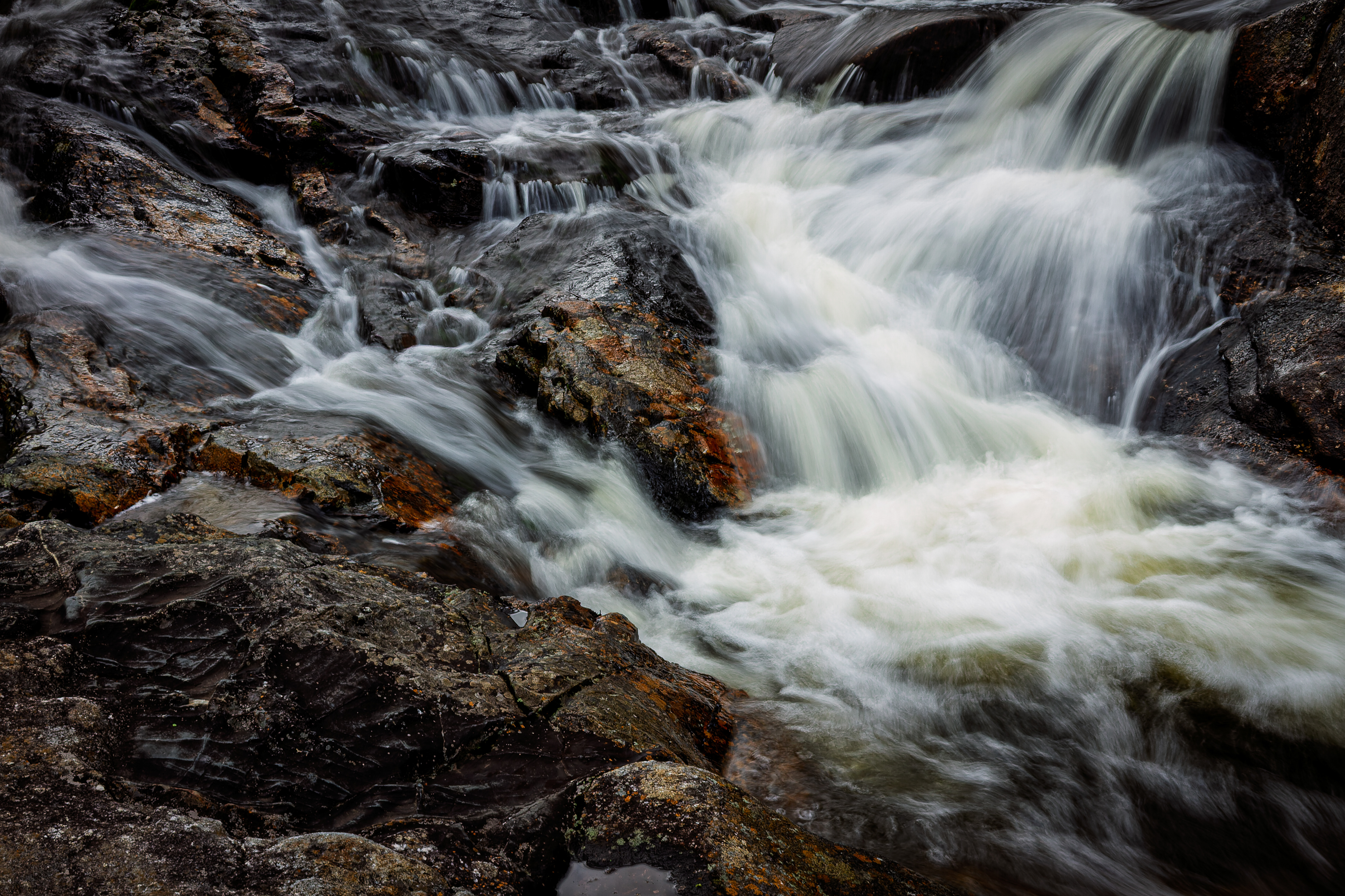 Beaver Pond Dam No10