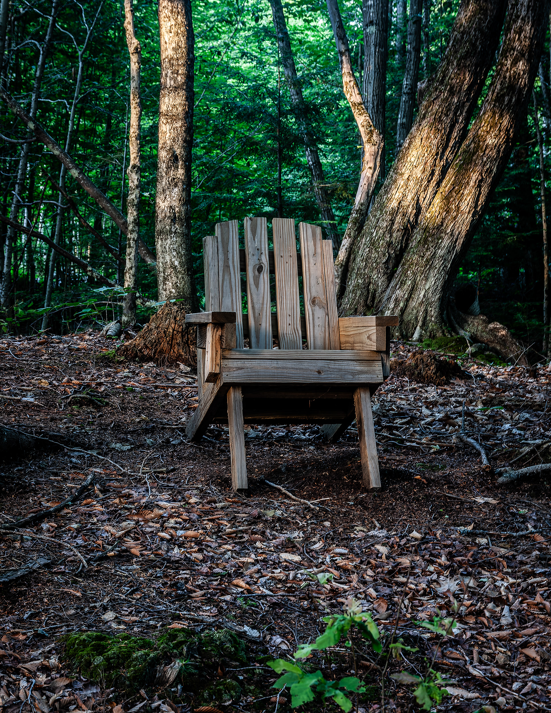 Adirondack Chair in Color