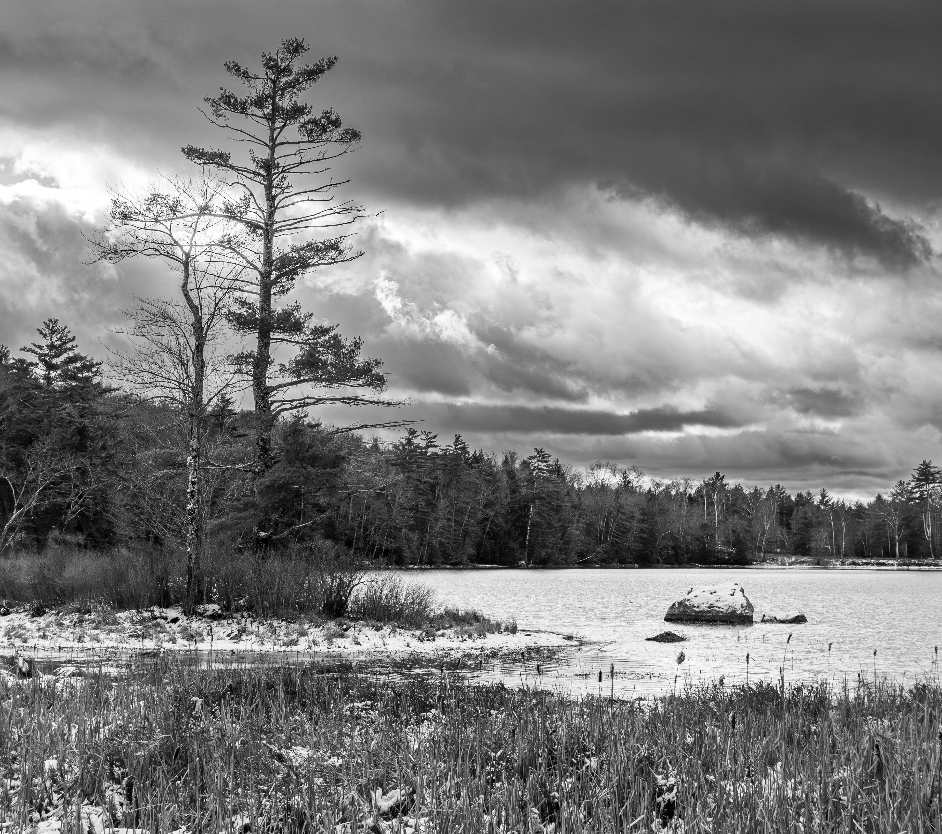 Rollins Pond No4
