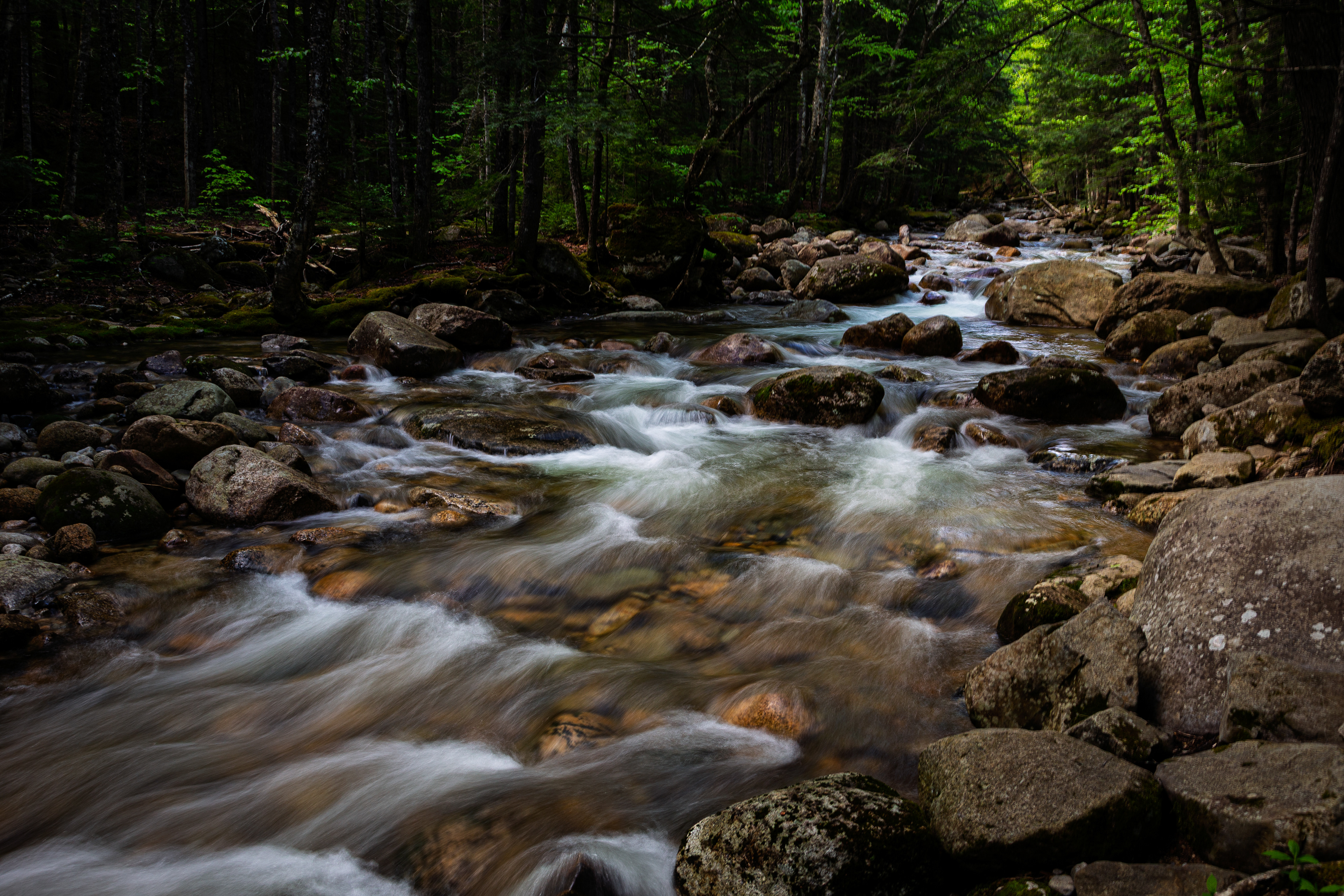 Sabbaday Brook No4