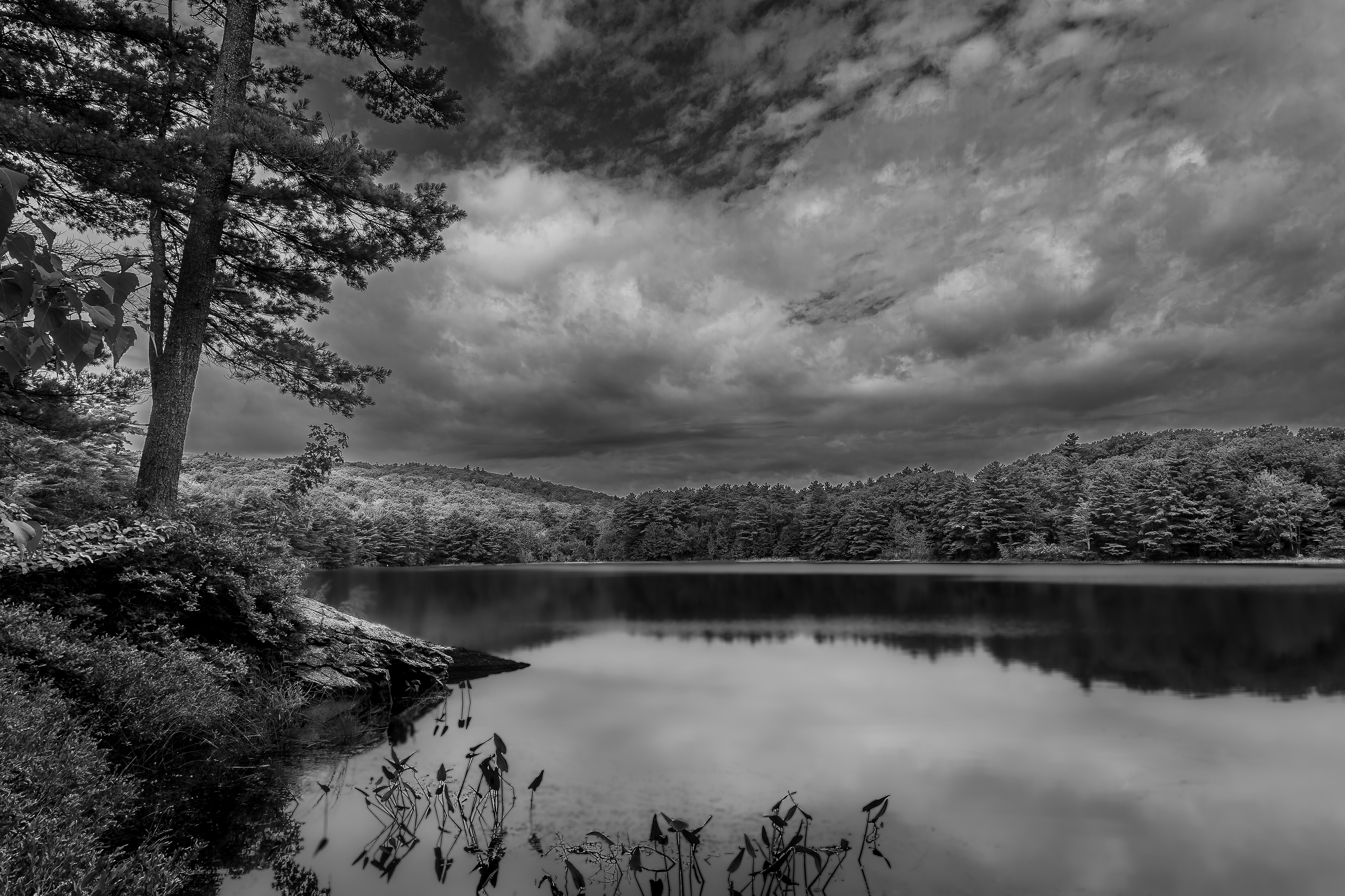 Meetinghouse Pond No2