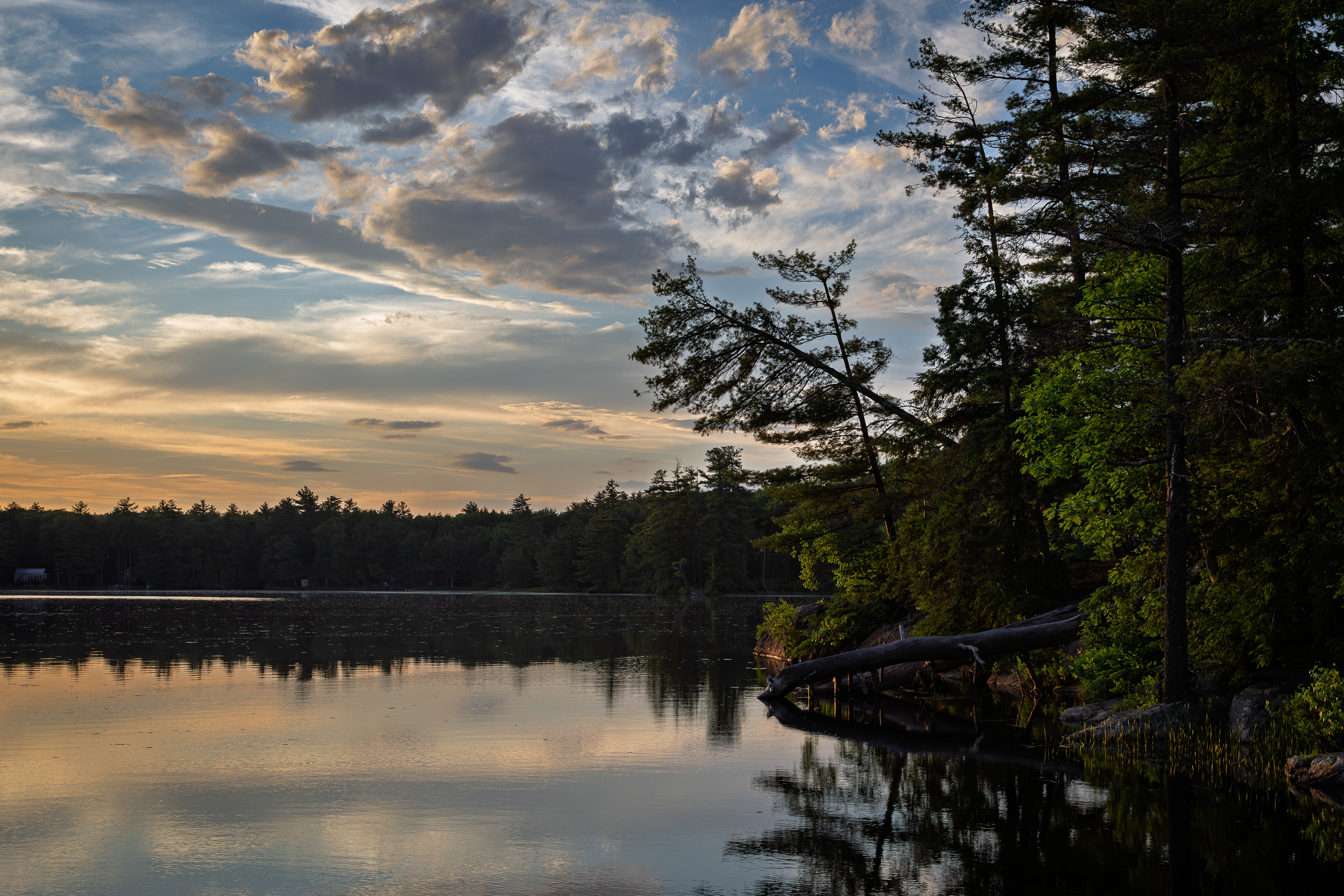 Shellcamp Golden Hour
