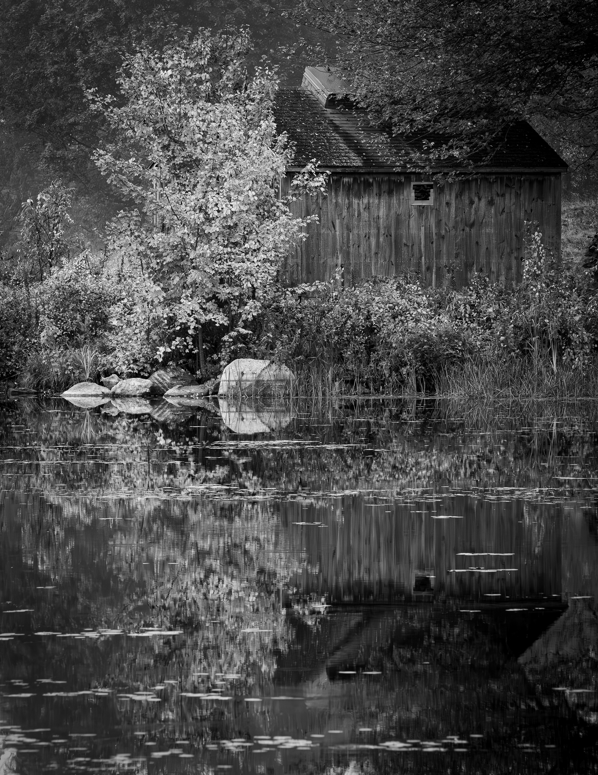 Turning Mill Pond No1