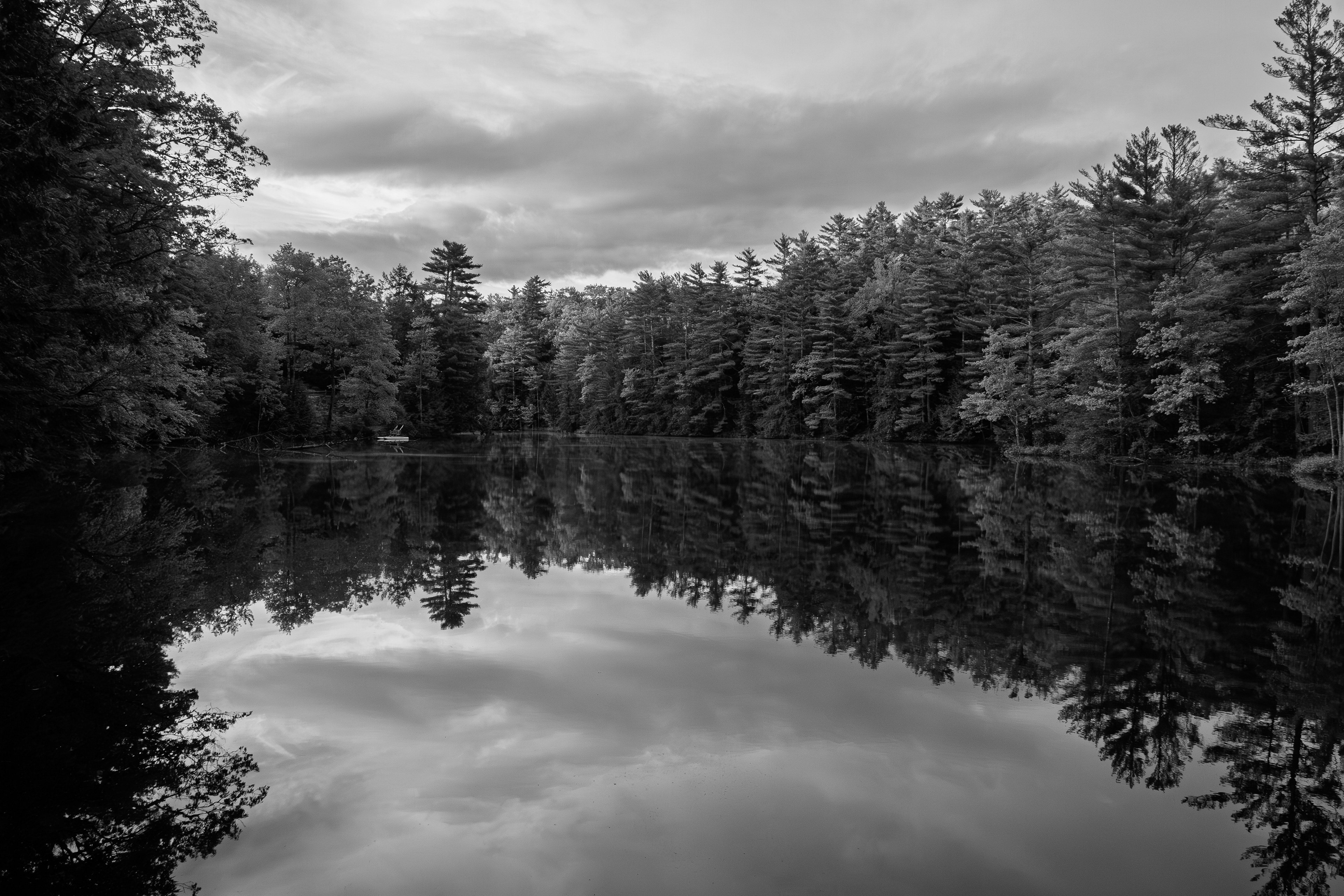 Meadow Pond Reflections No1